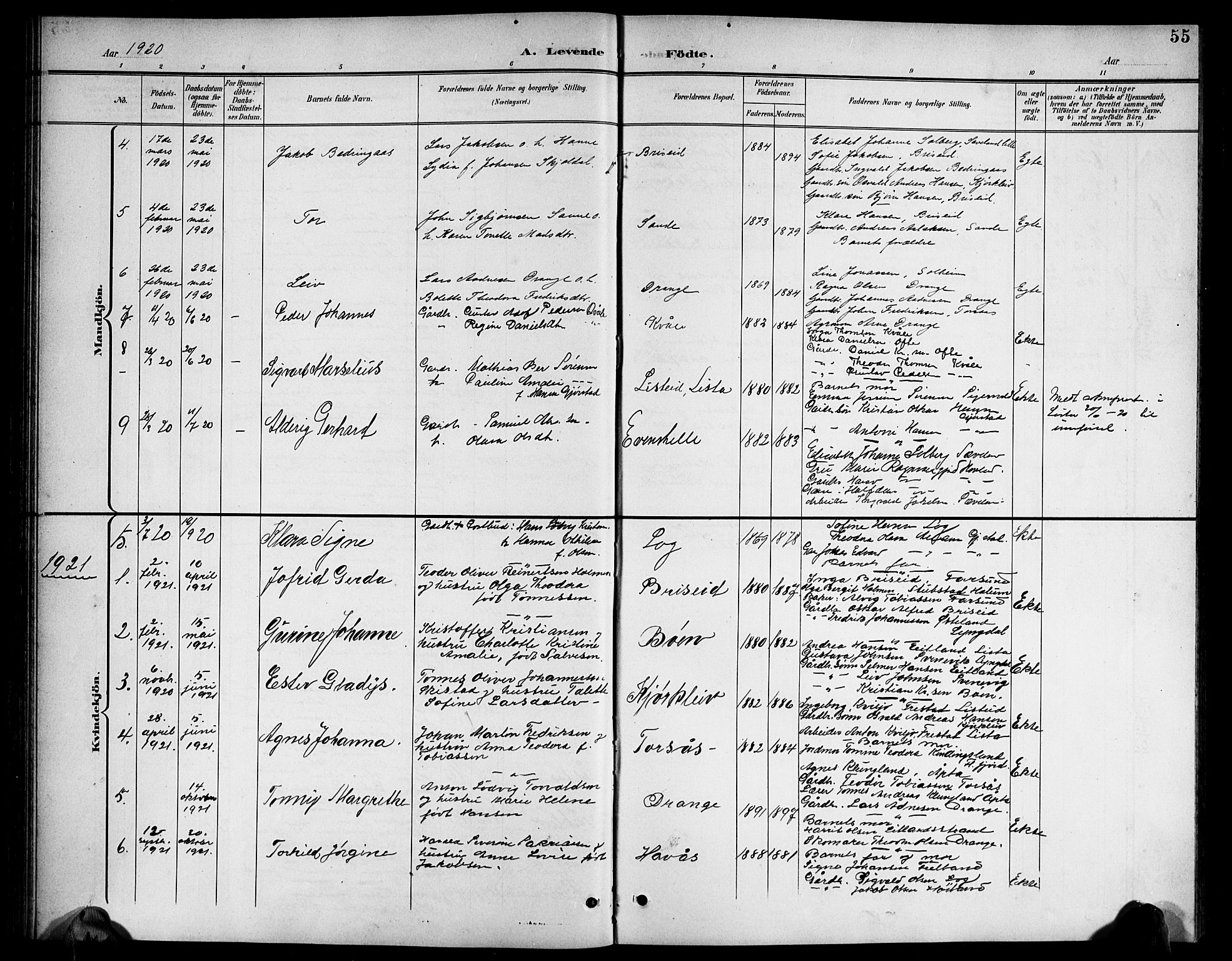 Herad sokneprestkontor, AV/SAK-1111-0018/F/Fb/Fba/L0005: Parish register (copy) no. B 5, 1899-1921, p. 55