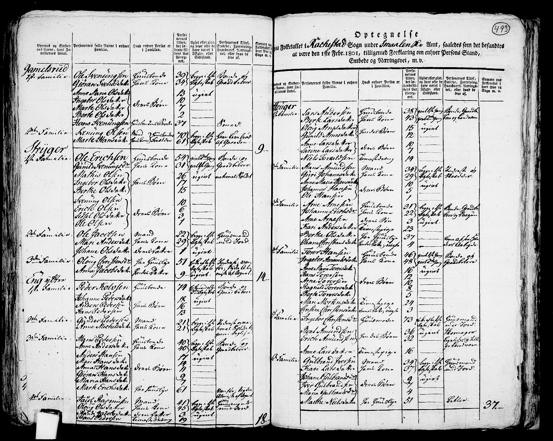 RA, 1801 census for 0128P Rakkestad, 1801, p. 492b-493a