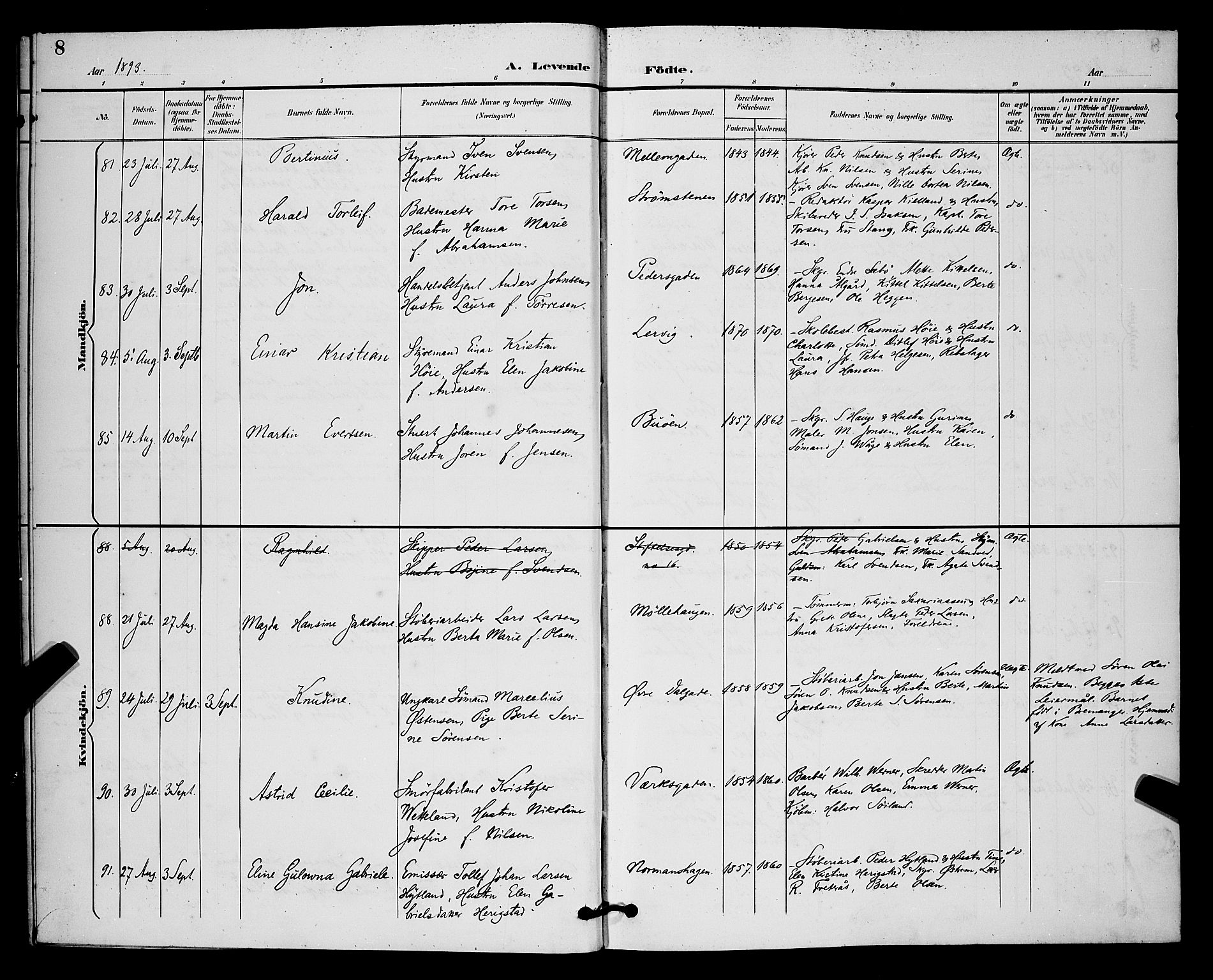 St. Johannes sokneprestkontor, AV/SAST-A-101814/001/30/30BB/L0003: Parish register (copy) no. B 3, 1893-1900, p. 8