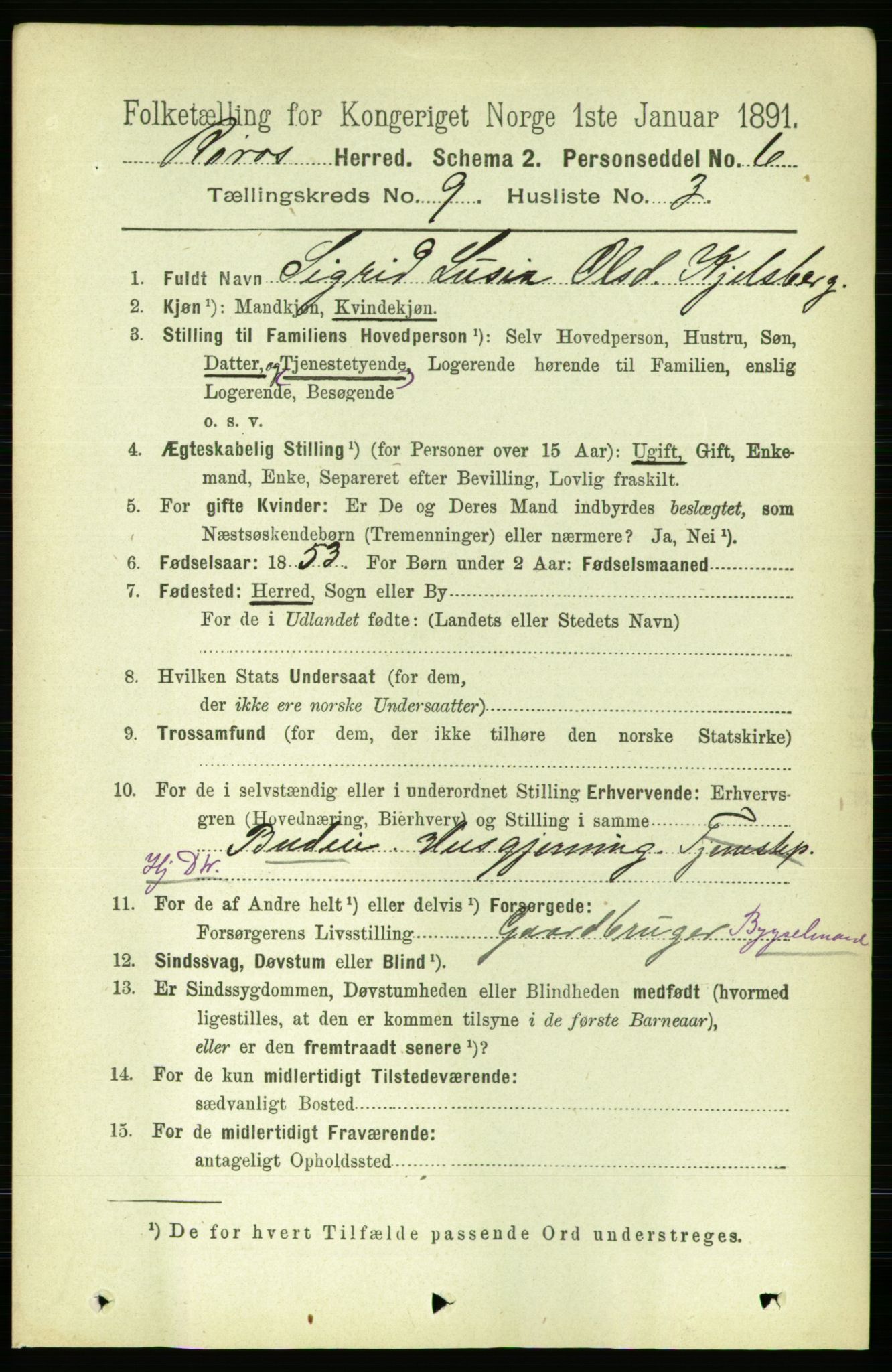 RA, 1891 census for 1640 Røros, 1891, p. 1832