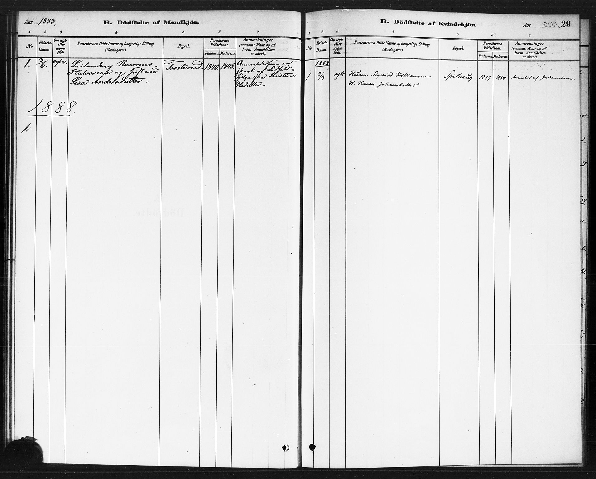 Rødenes prestekontor Kirkebøker, AV/SAO-A-2005/F/Fb/L0001: Parish register (official) no. II 1, 1880-1889, p. 29