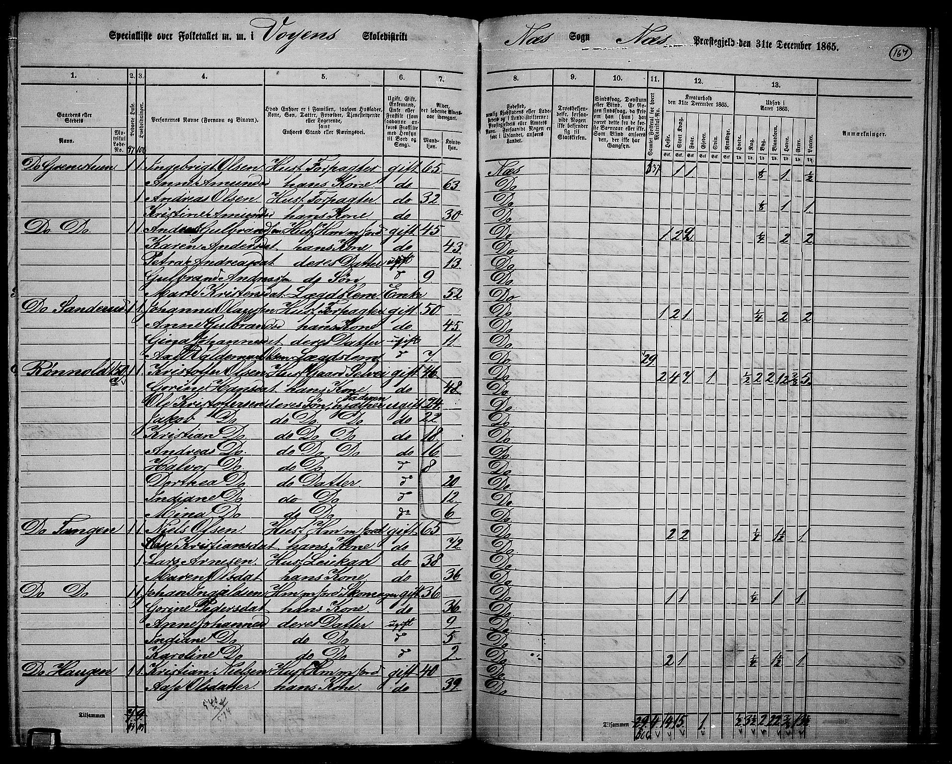 RA, 1865 census for Nes, 1865, p. 153