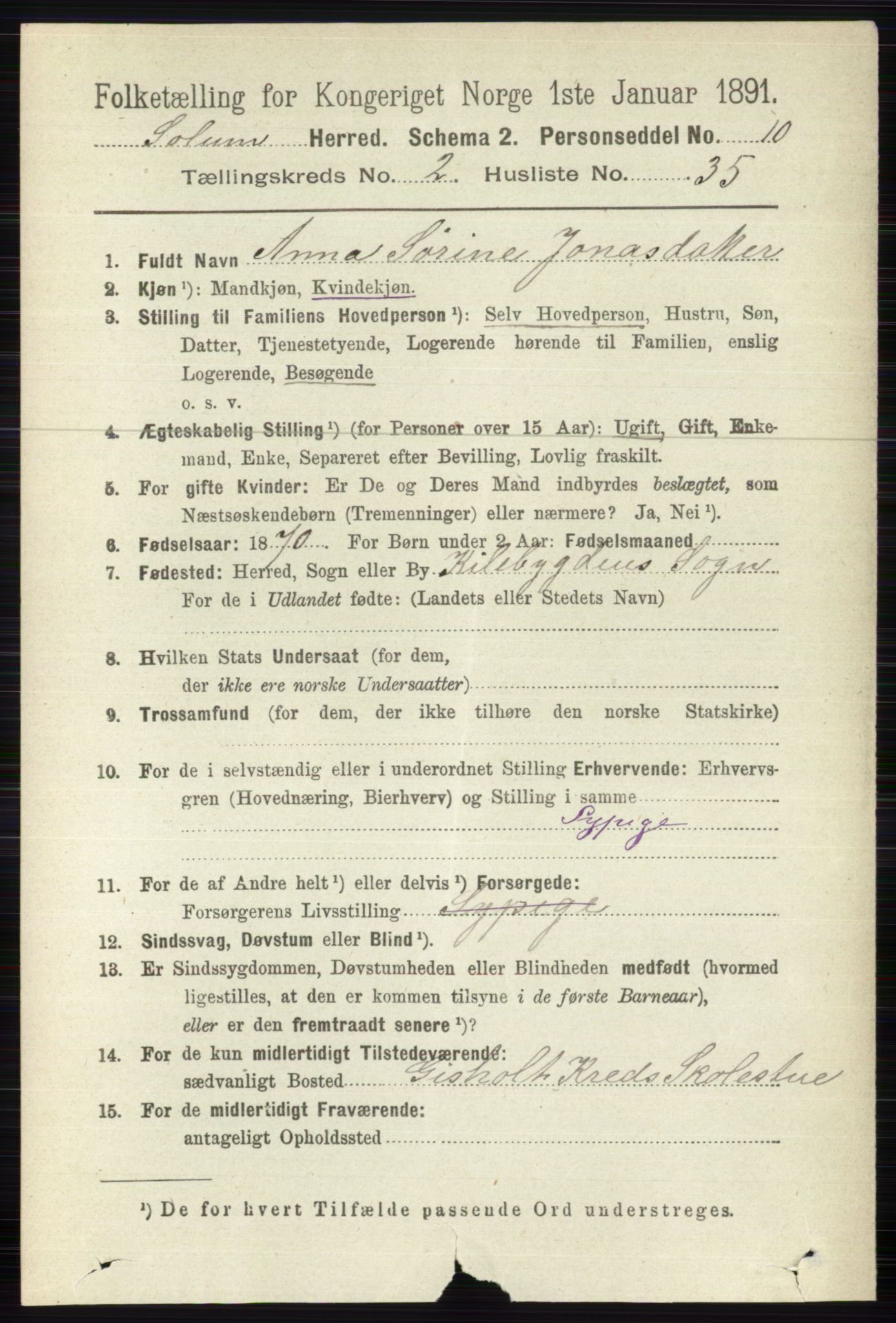 RA, 1891 census for 0818 Solum, 1891, p. 298