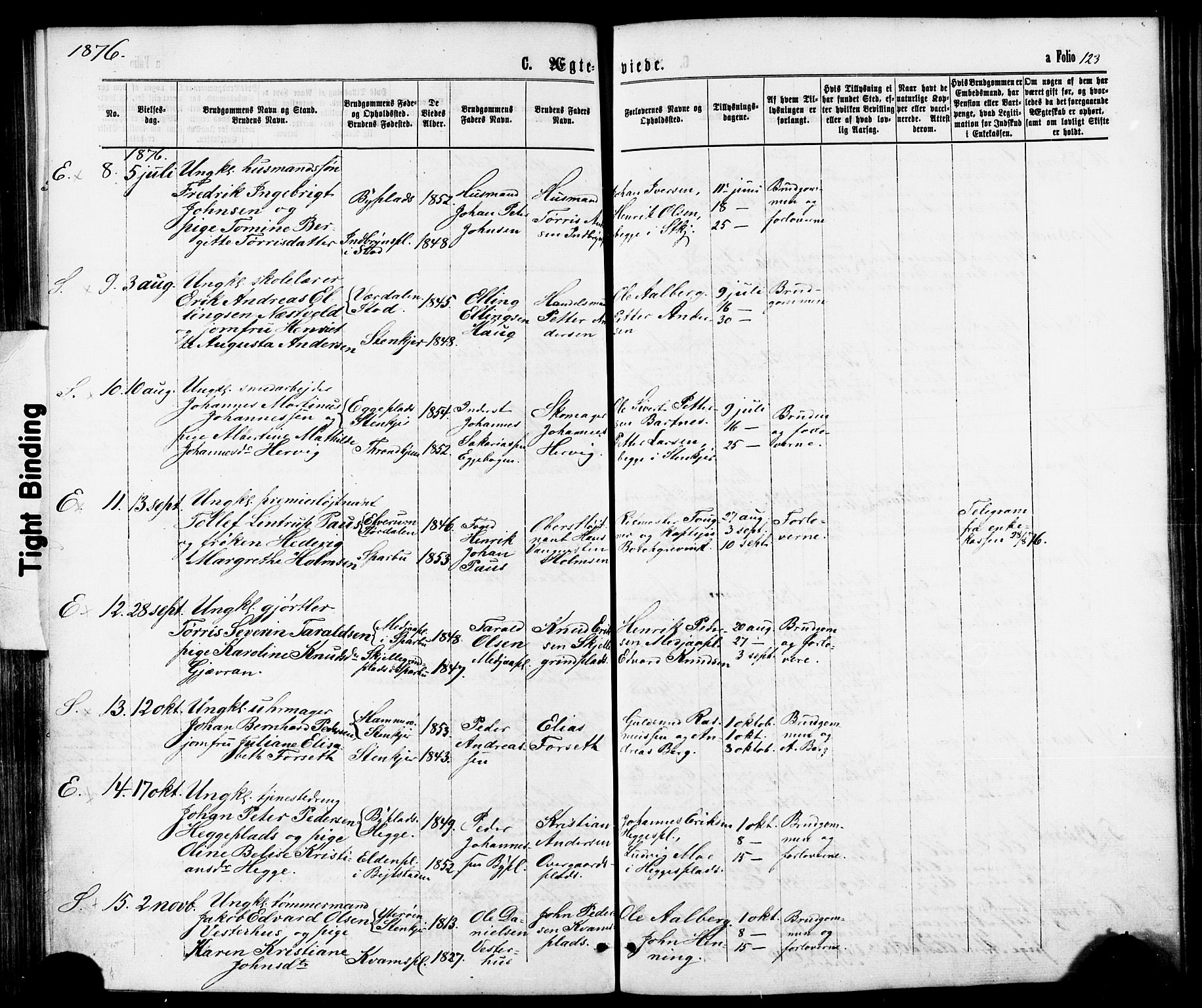 Ministerialprotokoller, klokkerbøker og fødselsregistre - Nord-Trøndelag, SAT/A-1458/739/L0370: Parish register (official) no. 739A02, 1868-1881, p. 123