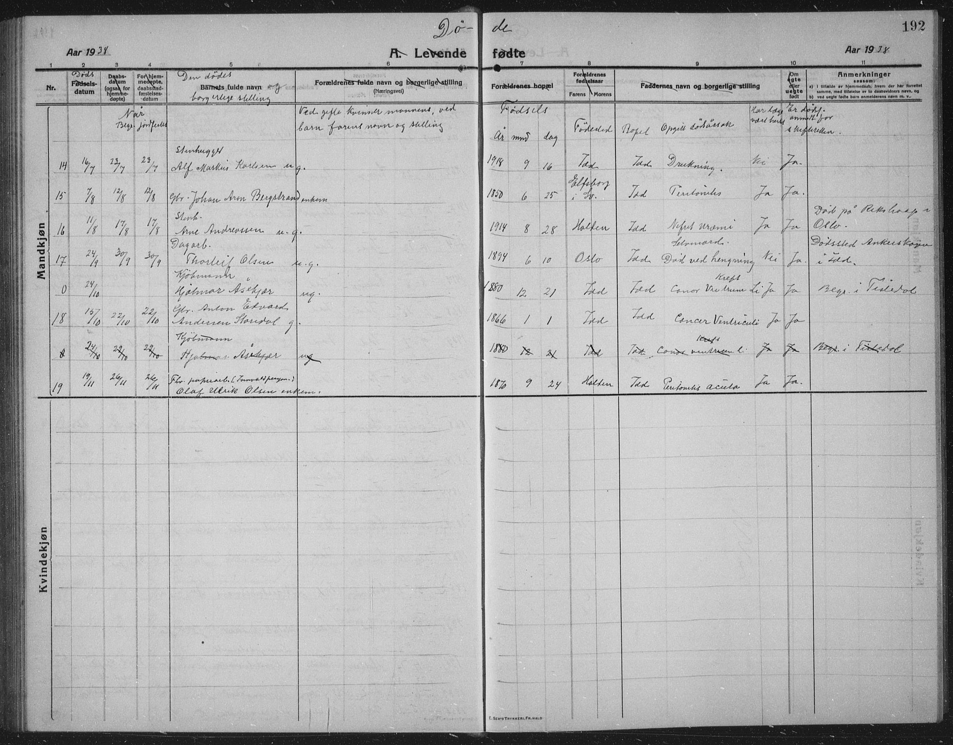 Idd prestekontor Kirkebøker, AV/SAO-A-10911/G/Gb/L0003: Parish register (copy) no. II 3, 1914-1940, p. 192