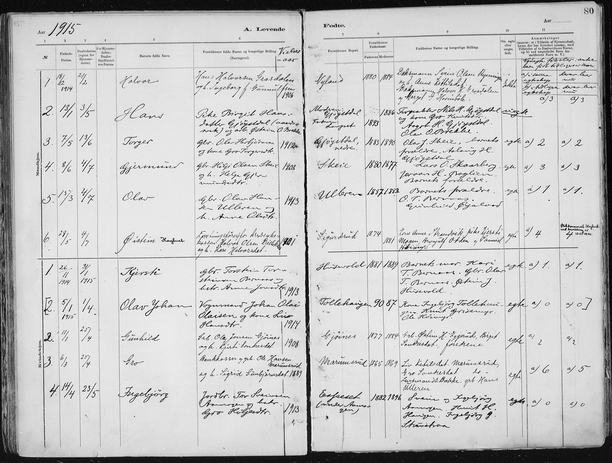 Tinn kirkebøker, SAKO/A-308/F/Fa/L0007: Parish register (official) no. I 7, 1878-1922, p. 80