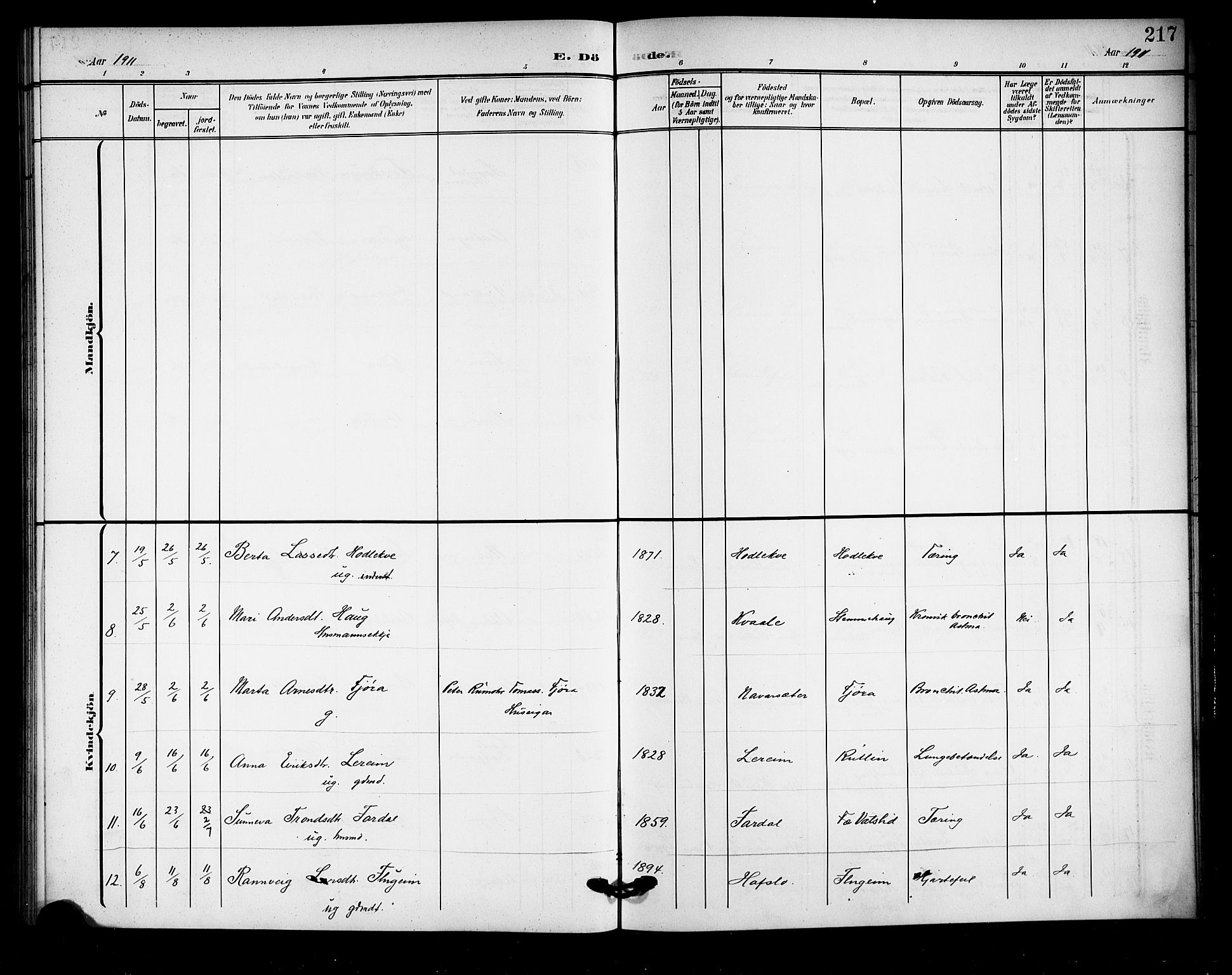 Sogndal sokneprestembete, AV/SAB-A-81301/H/Hab/Haba/L0002: Parish register (copy) no. A 2, 1908-1924, p. 217