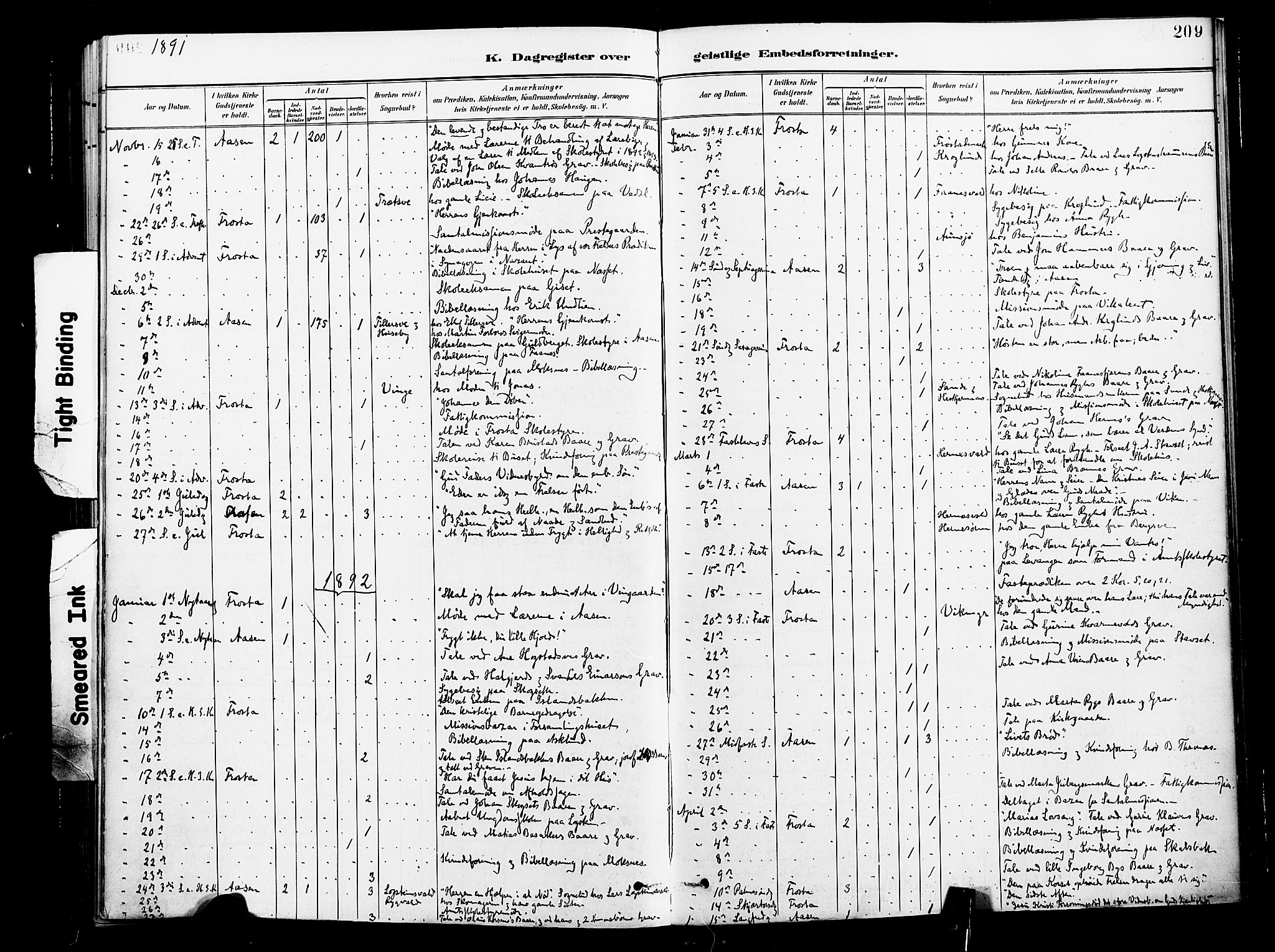 Ministerialprotokoller, klokkerbøker og fødselsregistre - Nord-Trøndelag, SAT/A-1458/713/L0121: Parish register (official) no. 713A10, 1888-1898, p. 209