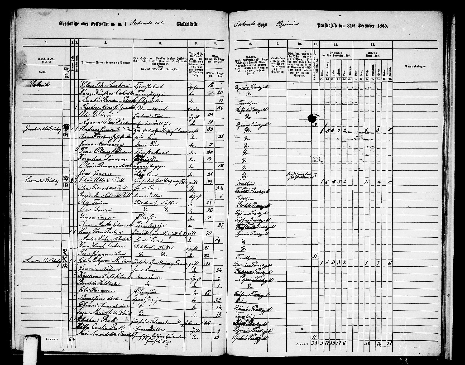 RA, 1865 census for Bjørnør, 1865, p. 126