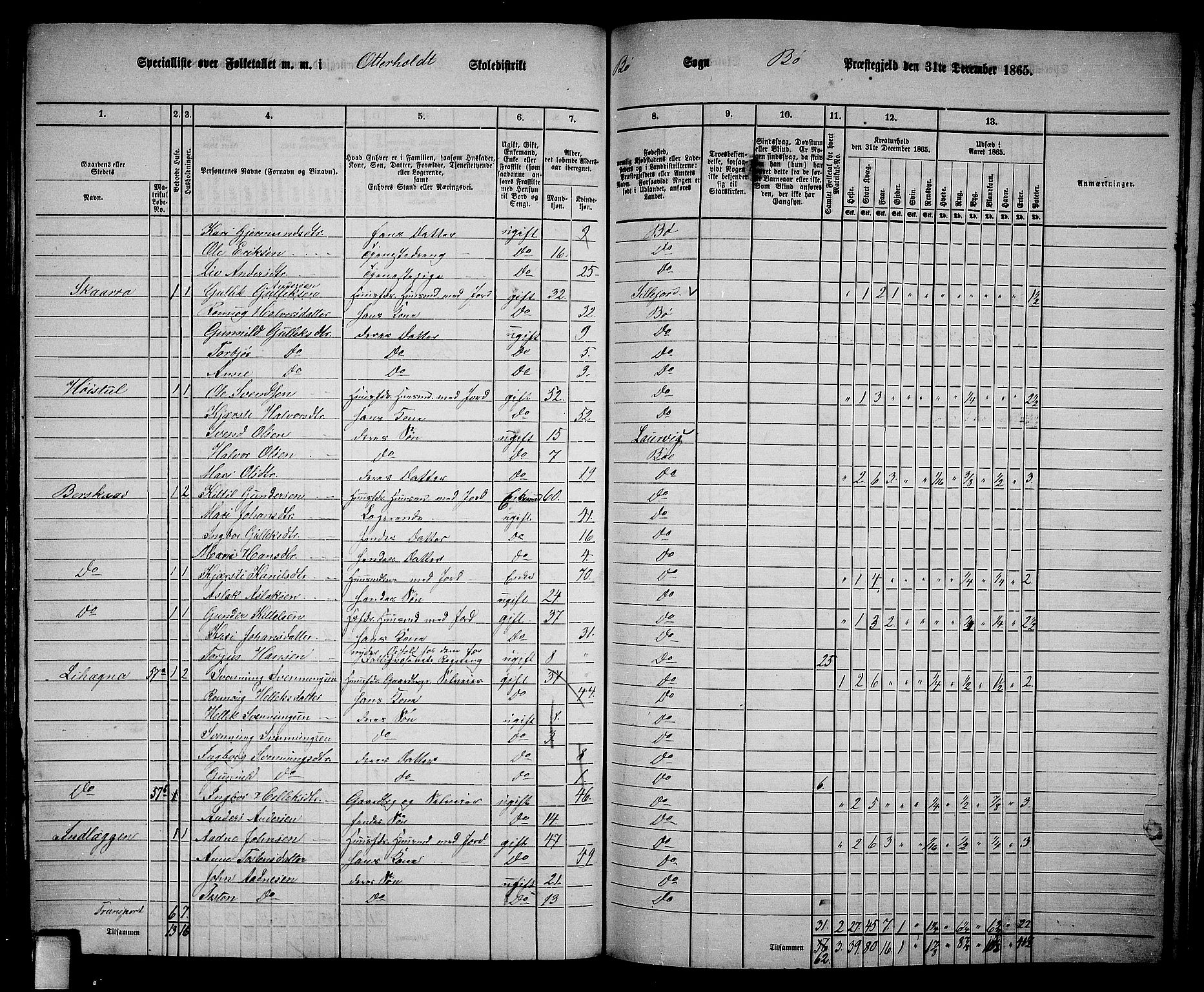 RA, 1865 census for Bø, 1865, p. 161