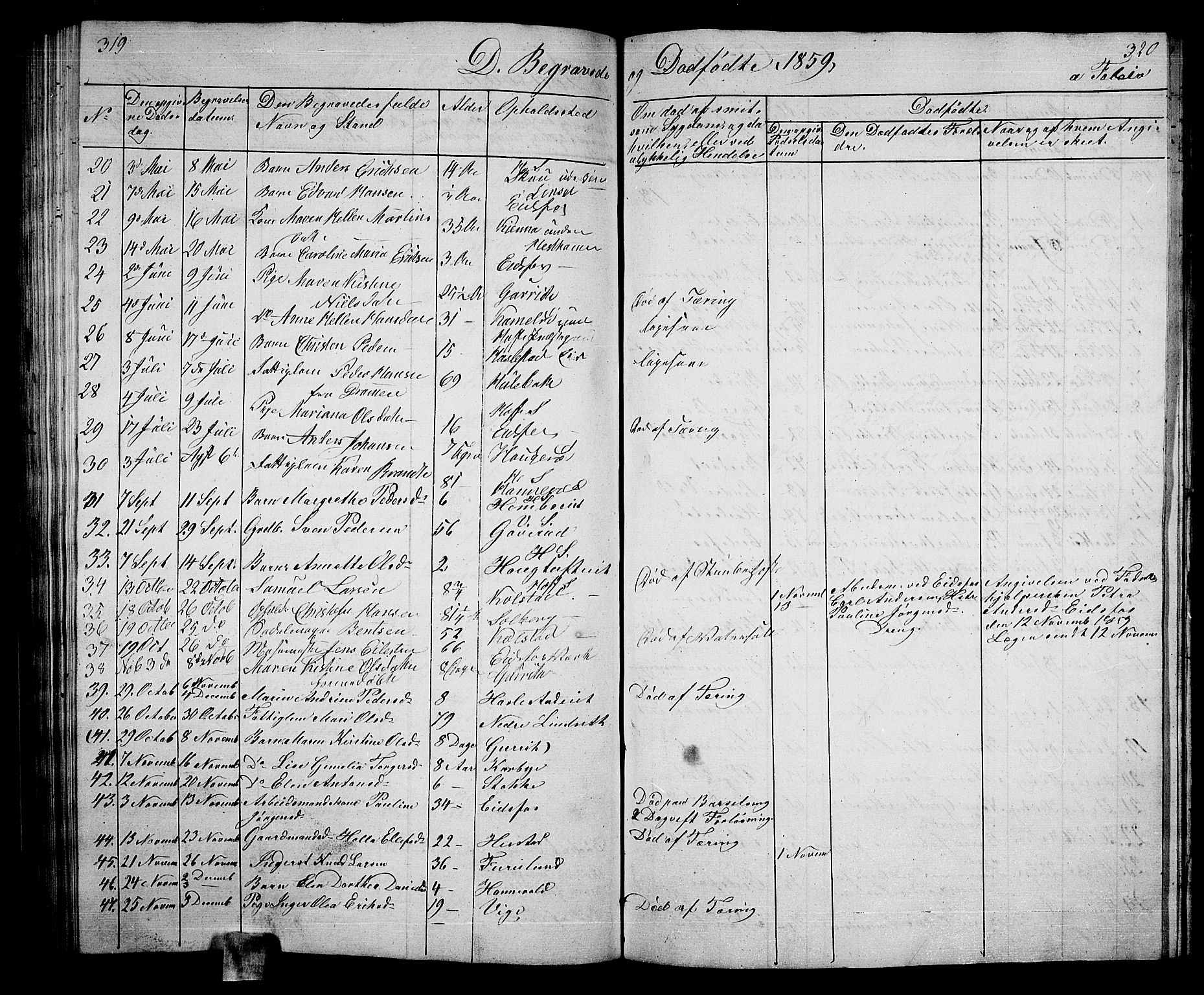 Hof kirkebøker, AV/SAKO-A-64/G/Ga/L0002: Parish register (copy) no. I 2, 1859-1873, p. 319-320