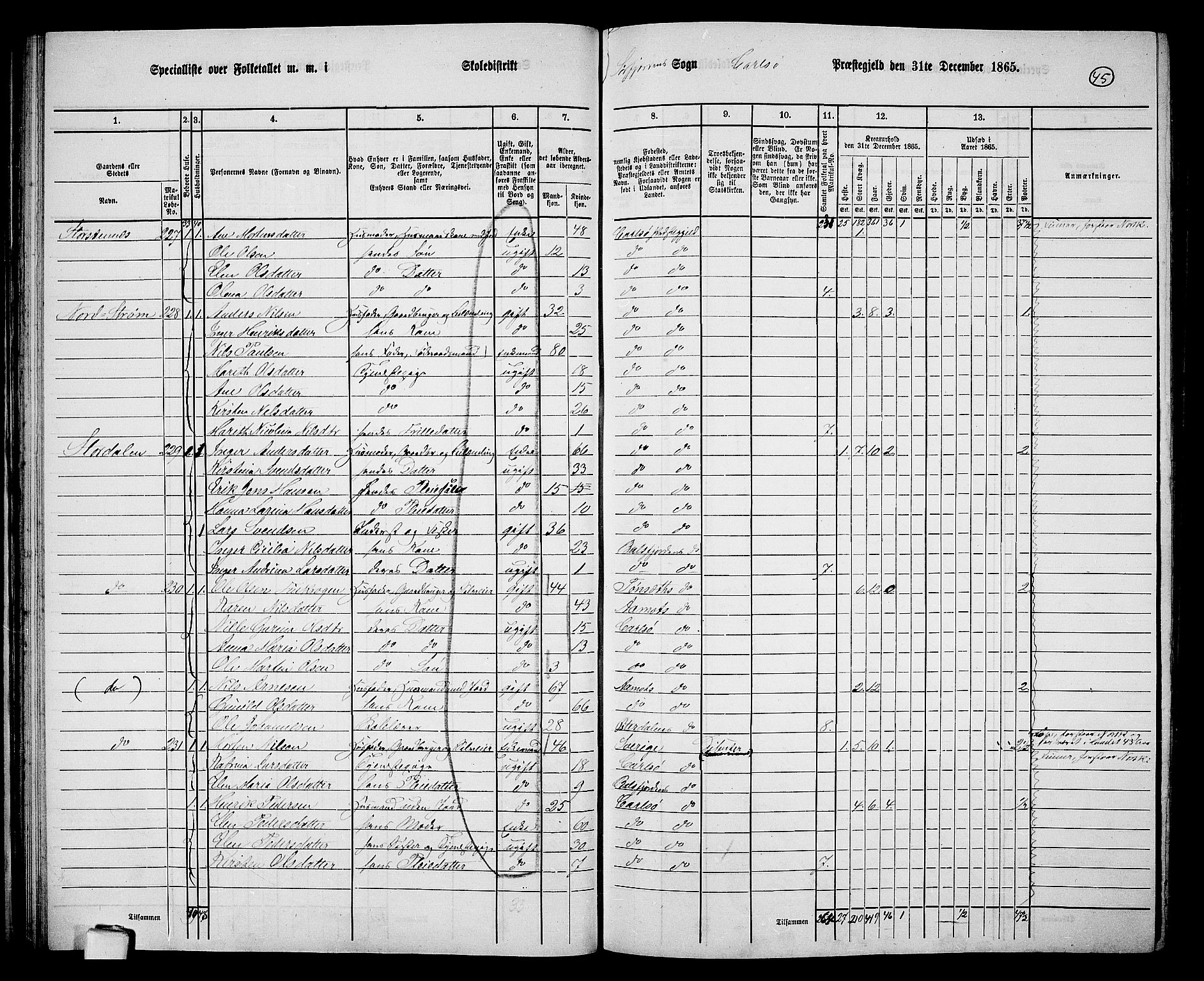 RA, 1865 census for Karlsøy, 1865, p. 45