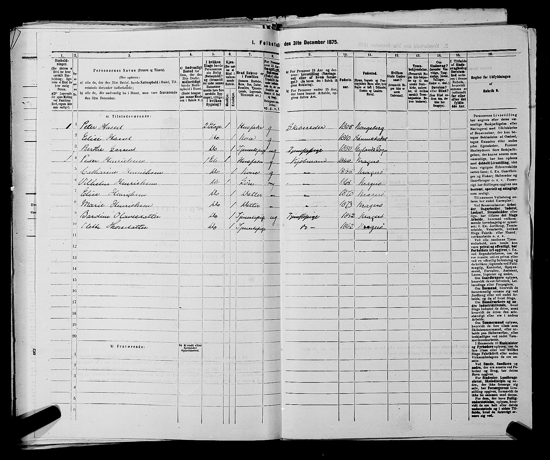 SAKO, 1875 census for 0801P Kragerø, 1875, p. 207