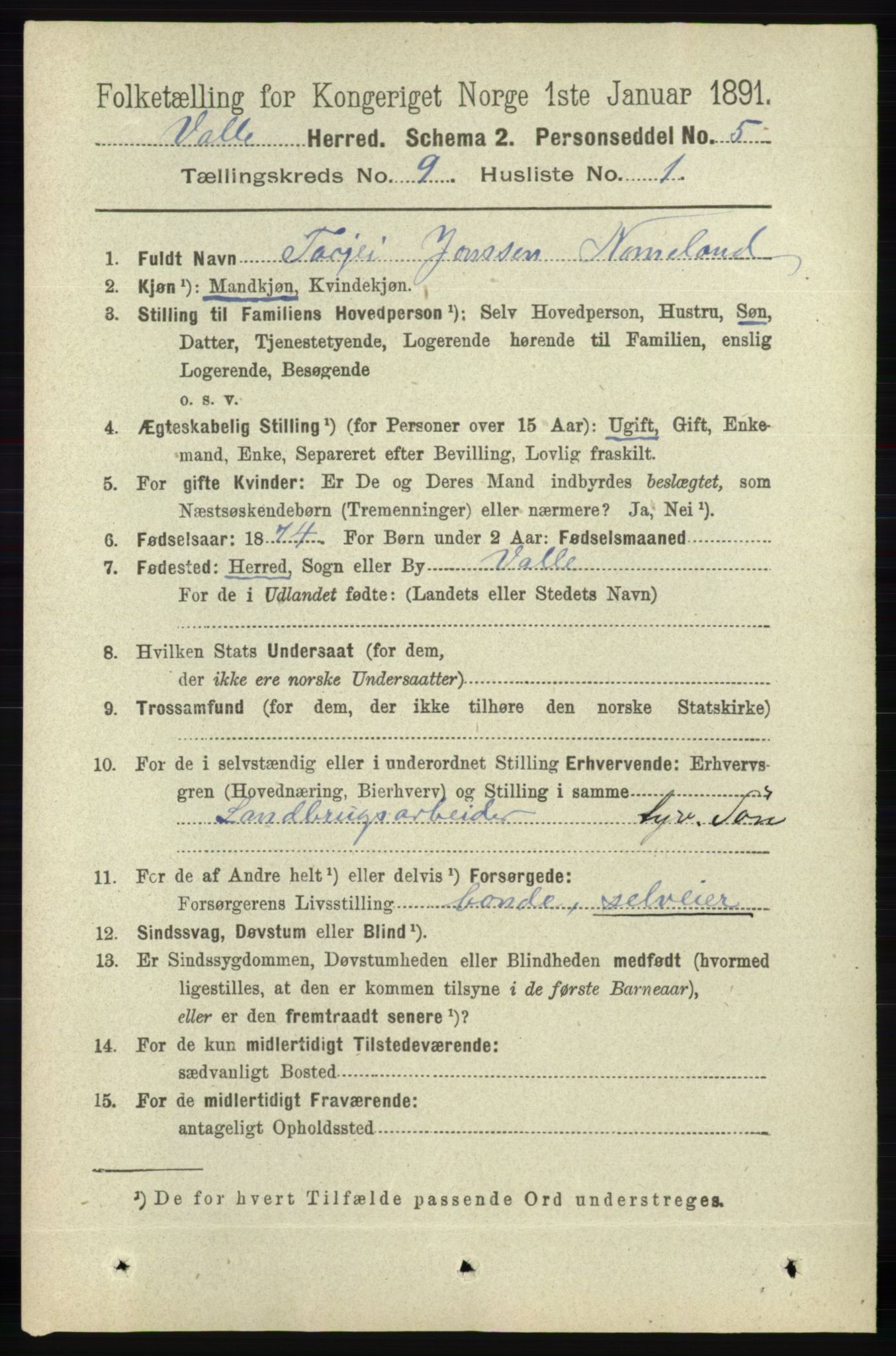 RA, 1891 census for 0940 Valle, 1891, p. 2448