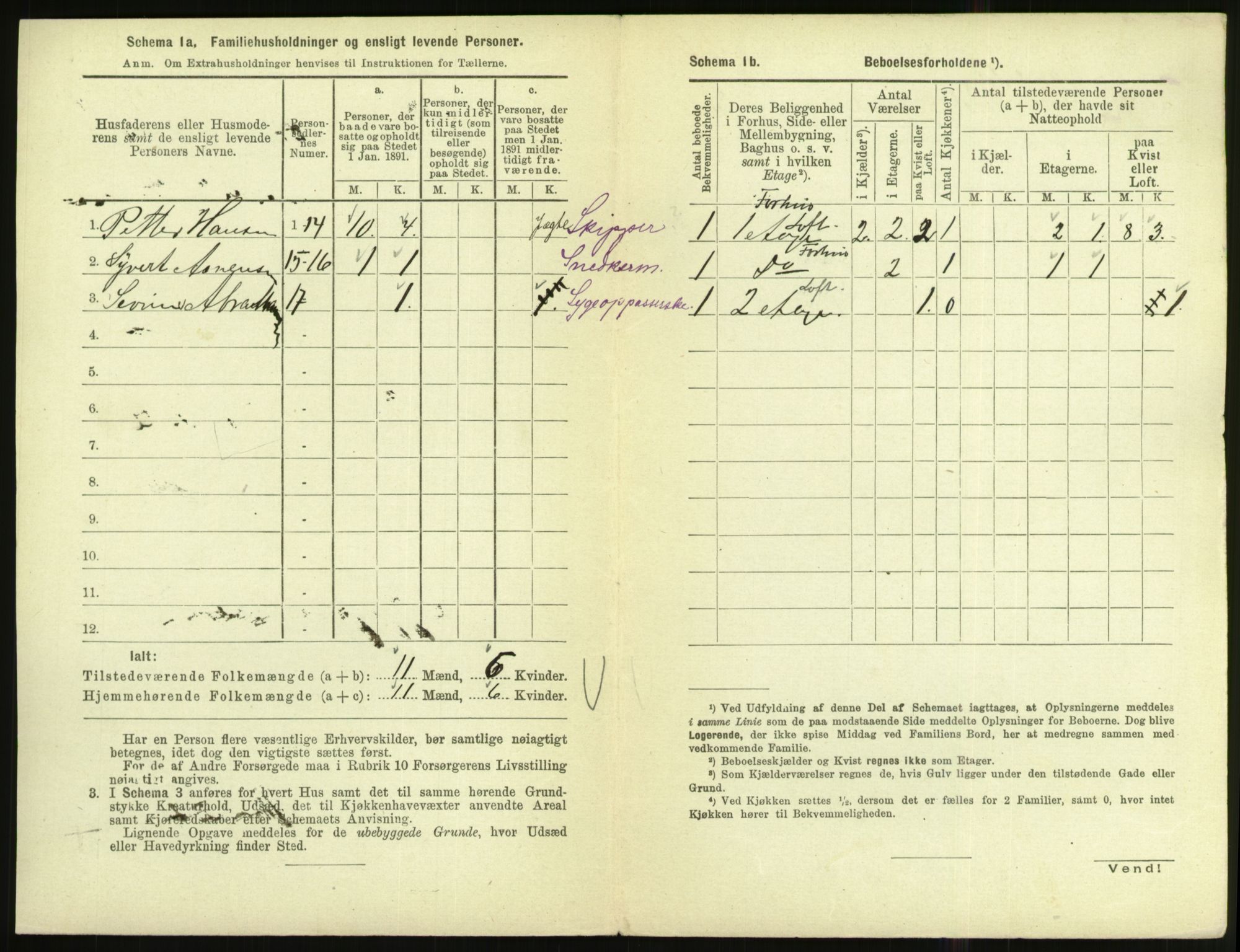 RA, 1891 census for 1002 Mandal, 1891, p. 110