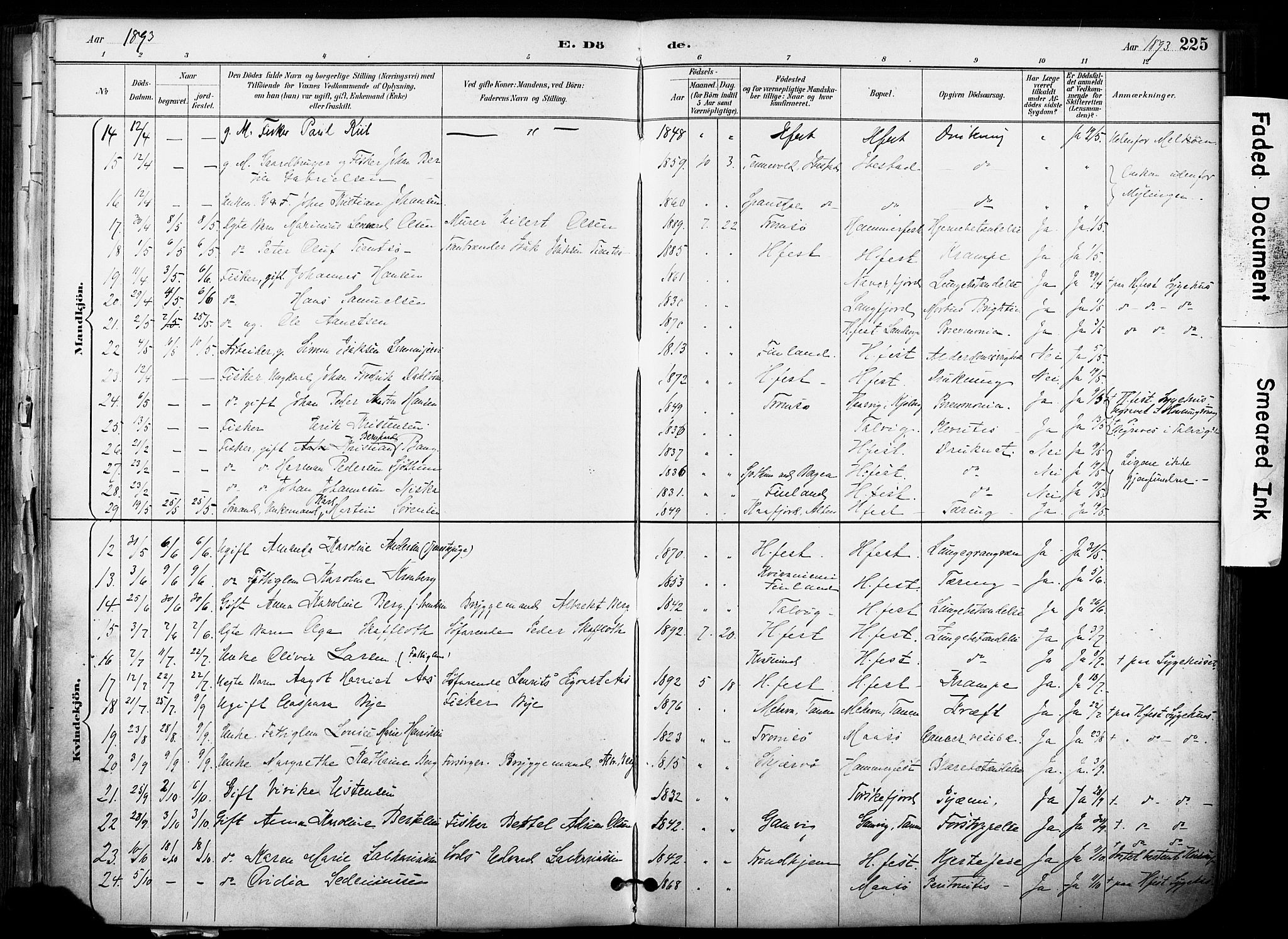 Hammerfest sokneprestkontor, AV/SATØ-S-1347/H/Ha/L0009.kirke: Parish register (official) no. 9, 1889-1897, p. 225