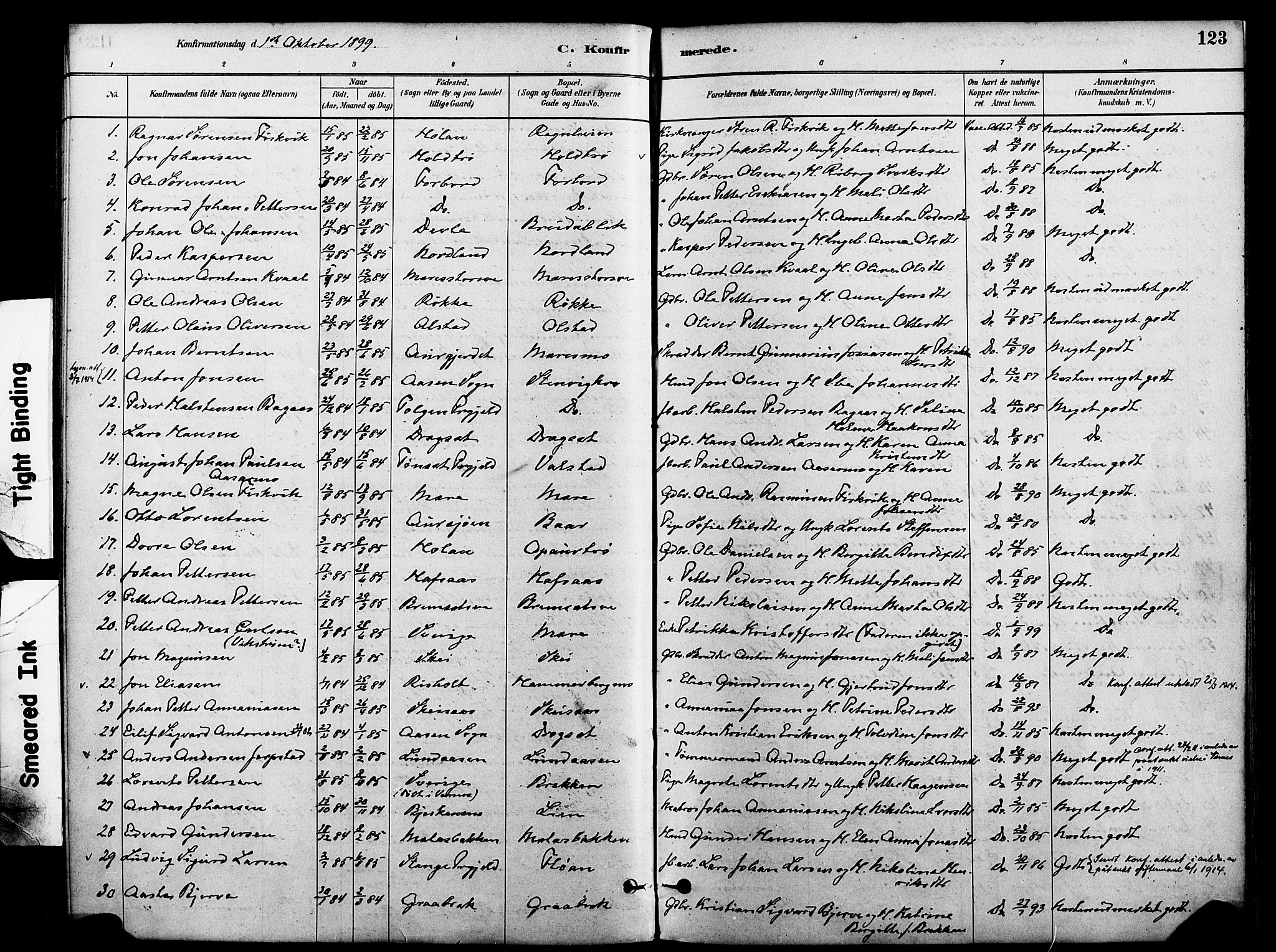 Ministerialprotokoller, klokkerbøker og fødselsregistre - Nord-Trøndelag, SAT/A-1458/712/L0100: Parish register (official) no. 712A01, 1880-1900, p. 123