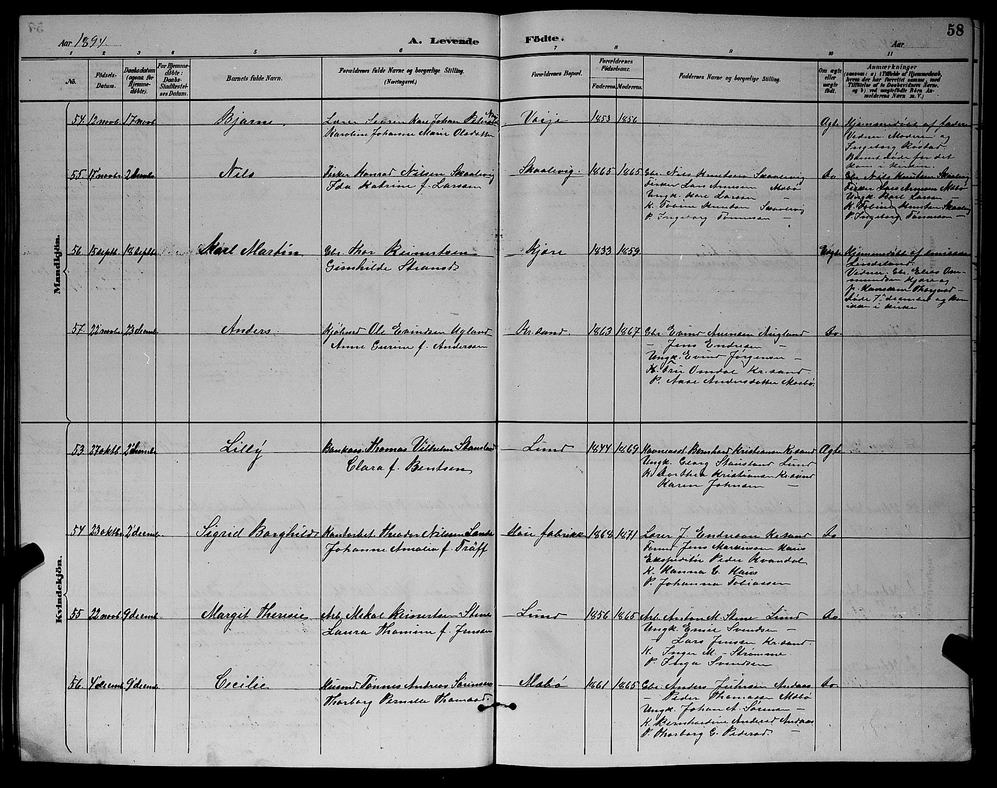 Oddernes sokneprestkontor, AV/SAK-1111-0033/F/Fb/Fba/L0008: Parish register (copy) no. B 8, 1887-1898, p. 58