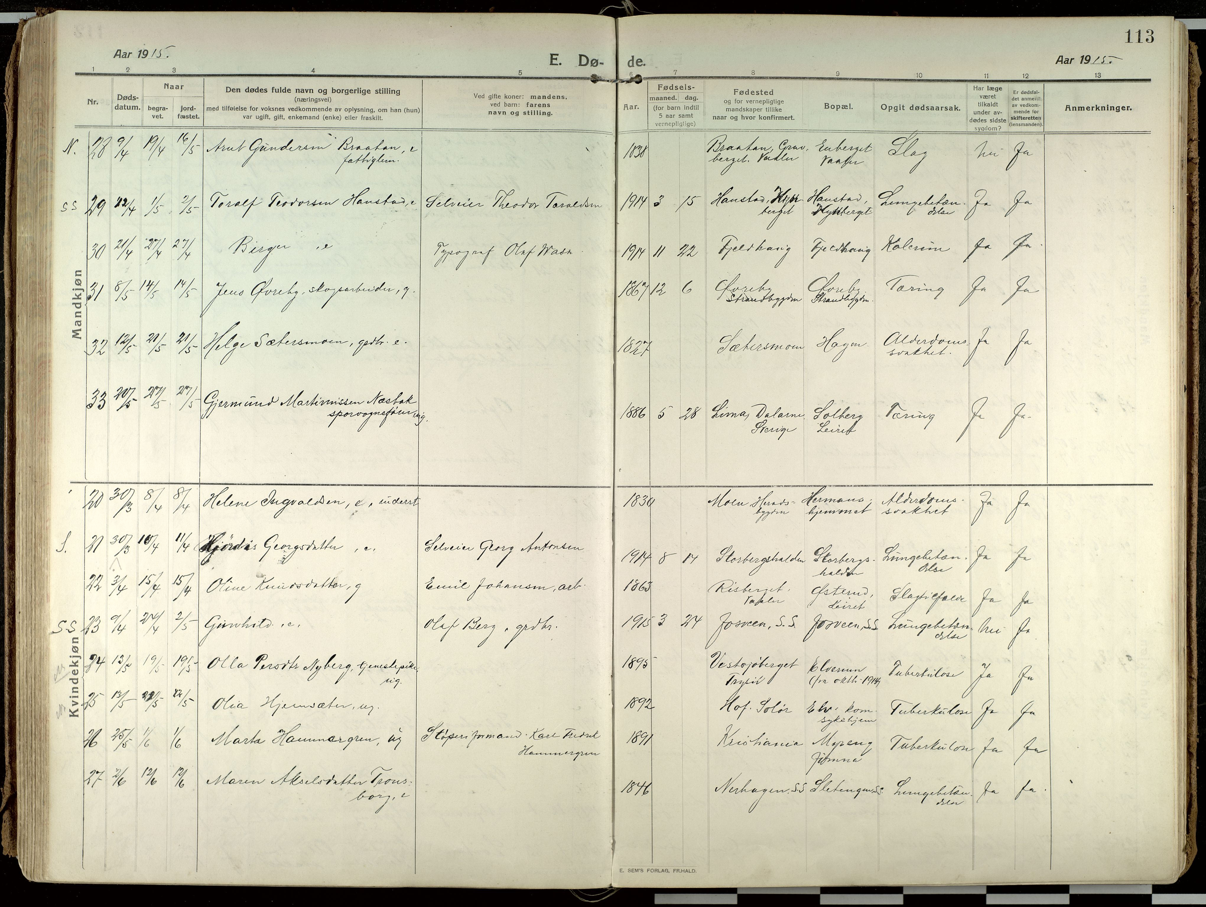 Elverum prestekontor, AV/SAH-PREST-044/H/Ha/Haa/L0021: Parish register (official) no. 21, 1913-1928, p. 113