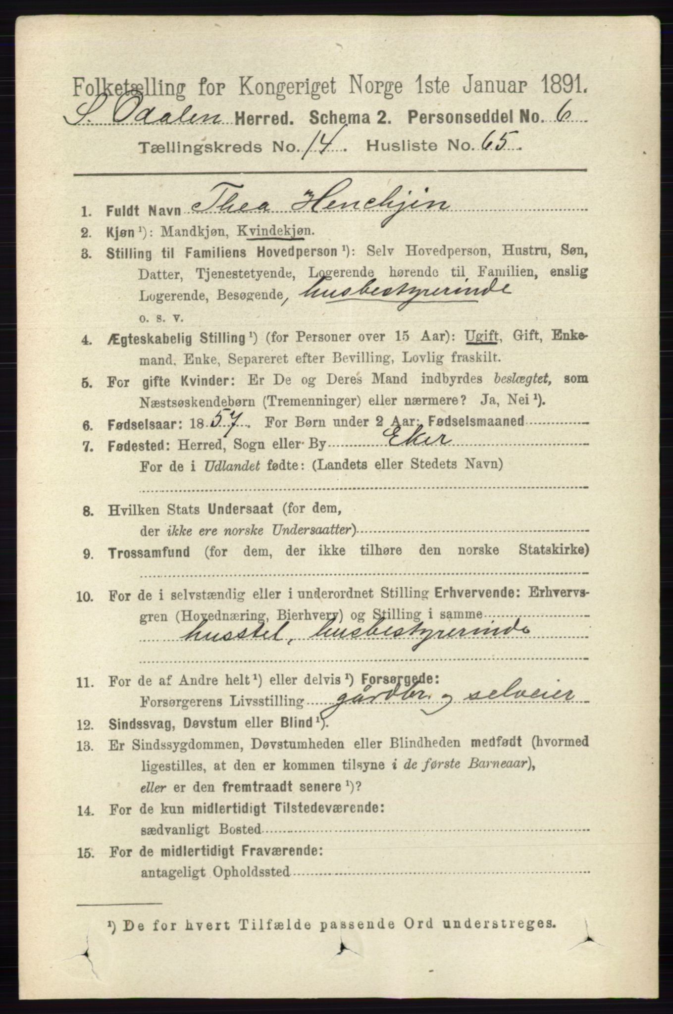 RA, 1891 census for 0419 Sør-Odal, 1891, p. 6460