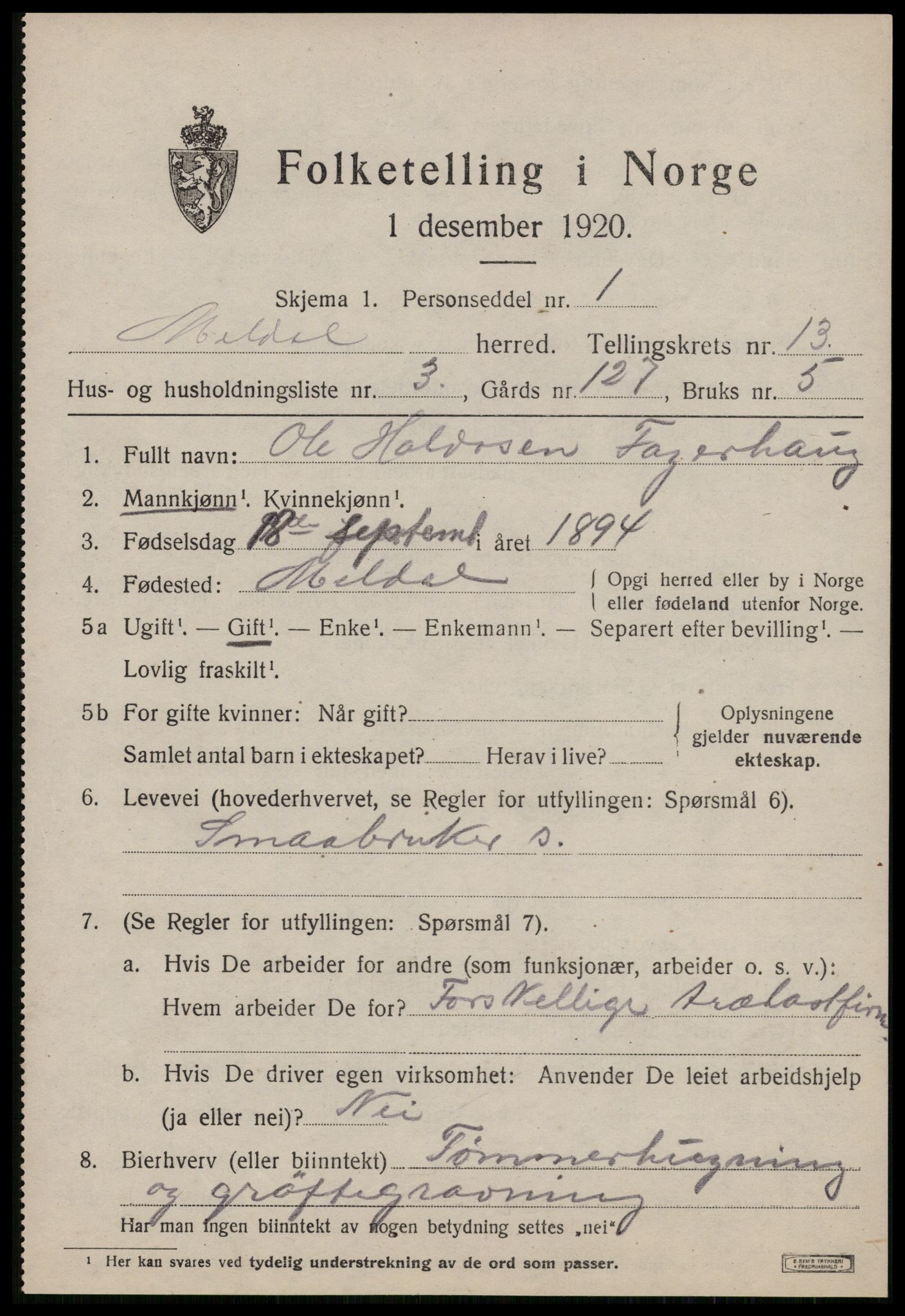 SAT, 1920 census for Meldal, 1920, p. 9475