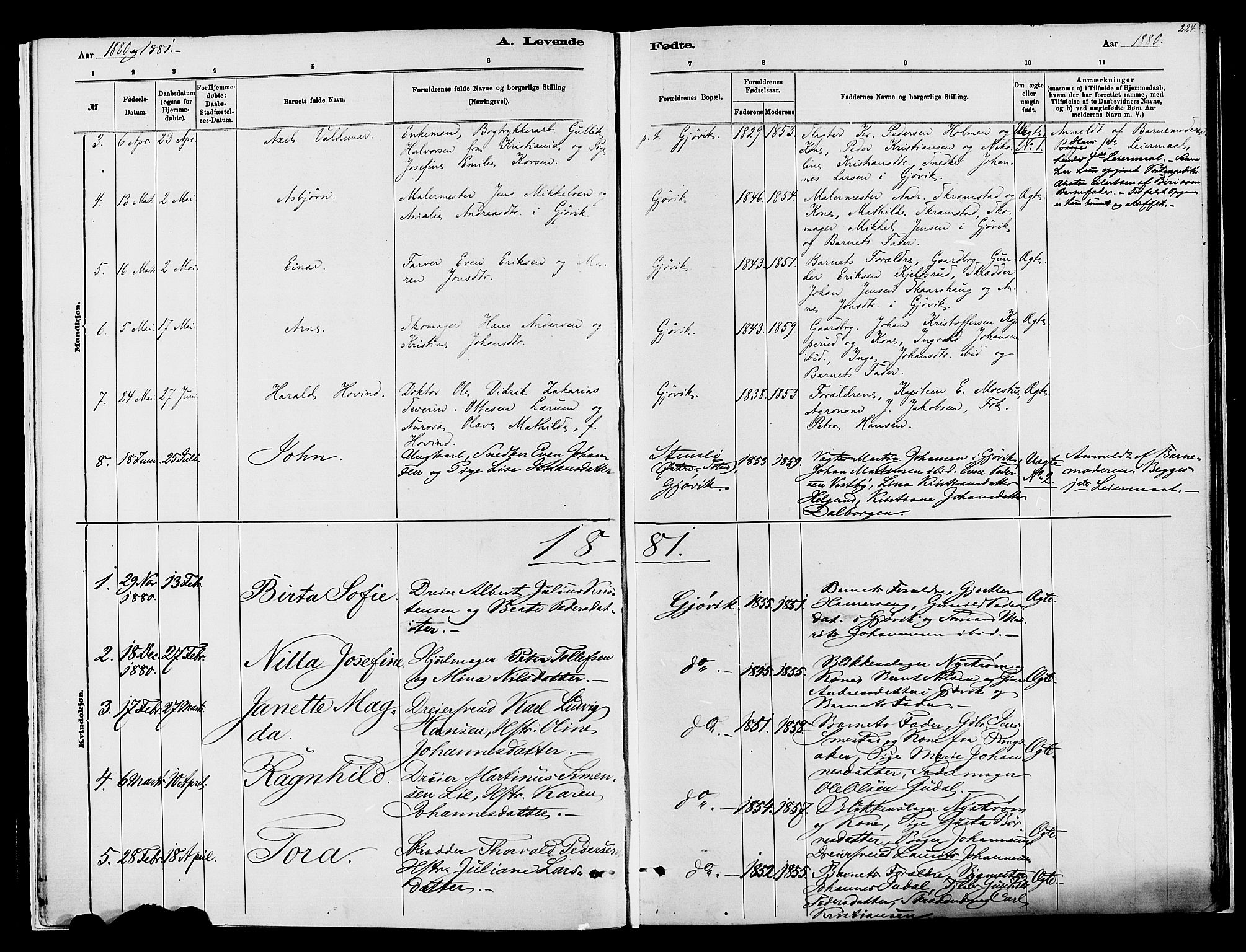 Vardal prestekontor, SAH/PREST-100/H/Ha/Haa/L0008: Parish register (official) no. 8, 1878-1890, p. 224