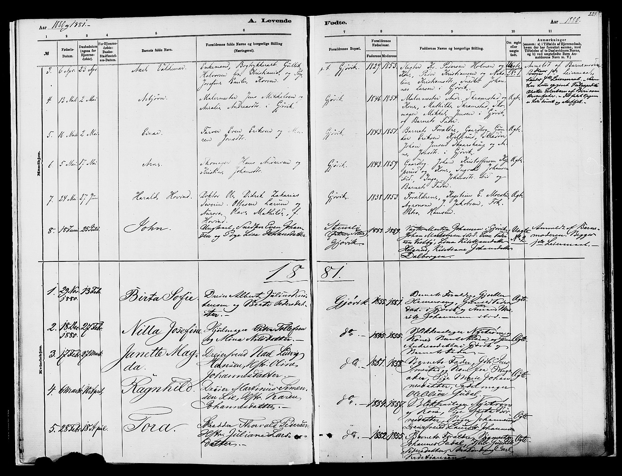 Vardal prestekontor, AV/SAH-PREST-100/H/Ha/Haa/L0008: Parish register (official) no. 8, 1878-1890, p. 224