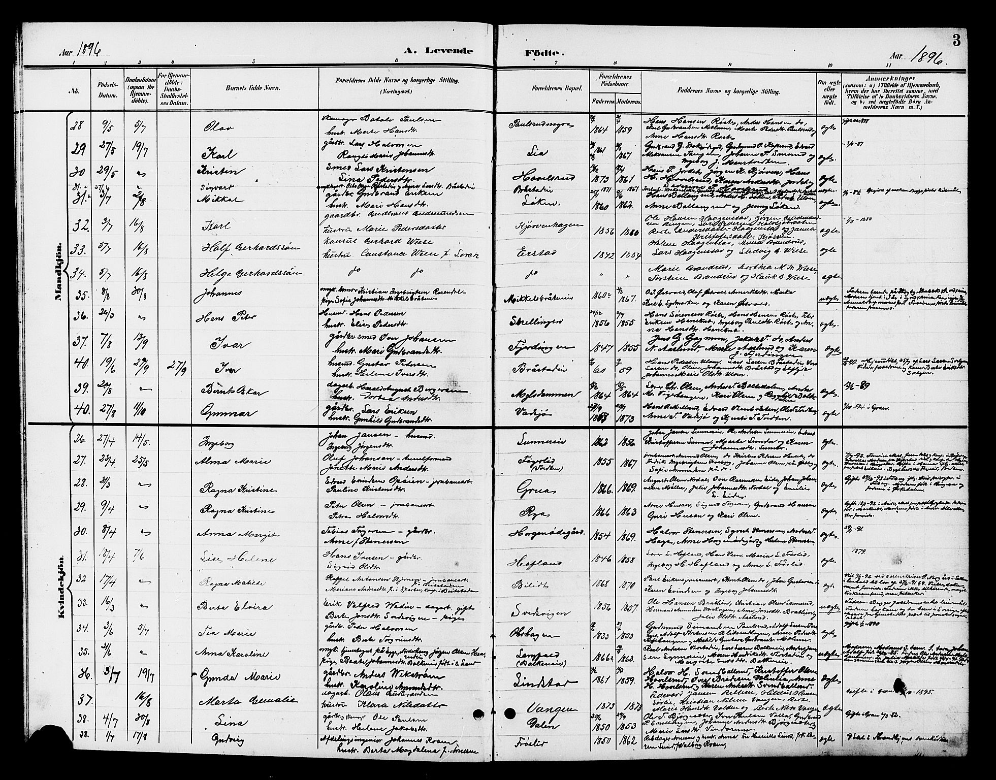 Jevnaker prestekontor, SAH/PREST-116/H/Ha/Hab/L0003: Parish register (copy) no. 3, 1896-1909, p. 3