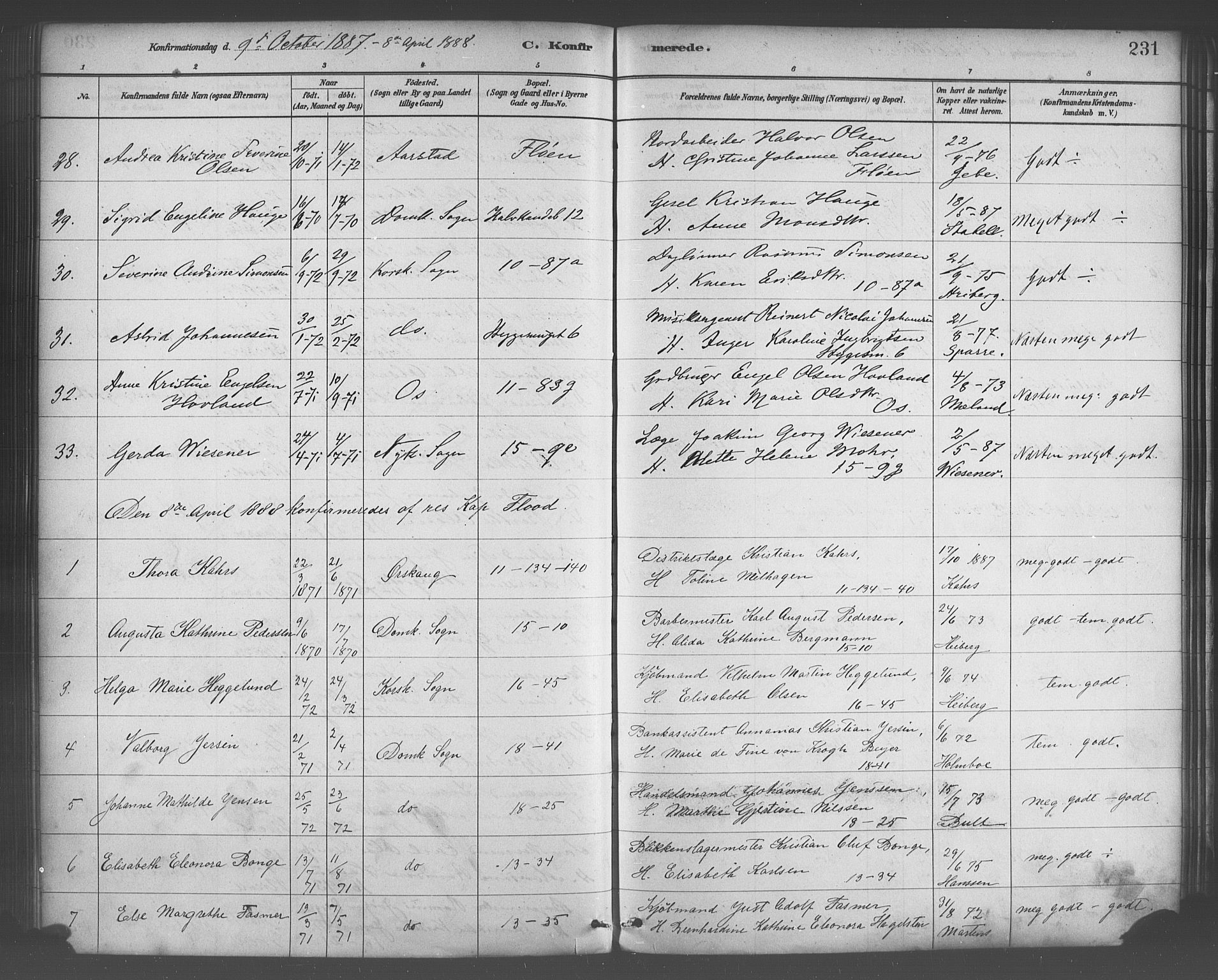 Domkirken sokneprestembete, SAB/A-74801/H/Haa/L0030: Parish register (official) no. C 5, 1880-1898, p. 231