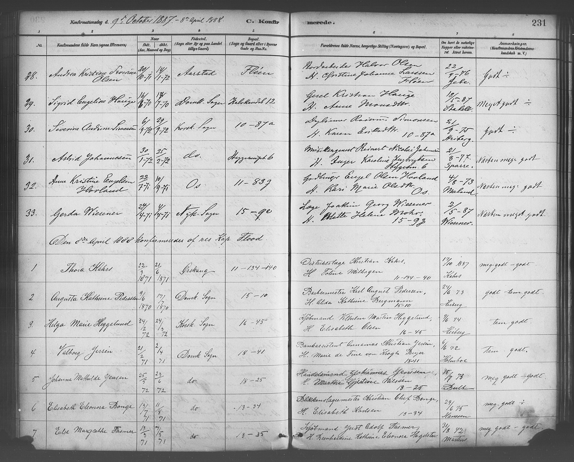 Domkirken sokneprestembete, AV/SAB-A-74801/H/Haa/L0030: Parish register (official) no. C 5, 1880-1898, p. 231