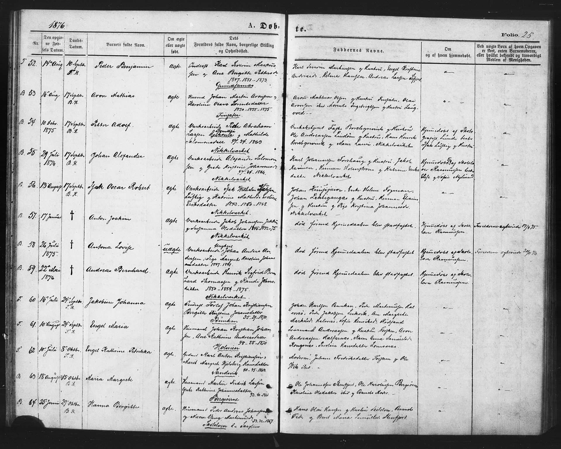 Berg sokneprestkontor, AV/SATØ-S-1318/G/Ga/Gaa/L0003kirke: Parish register (official) no. 3, 1872-1879, p. 25