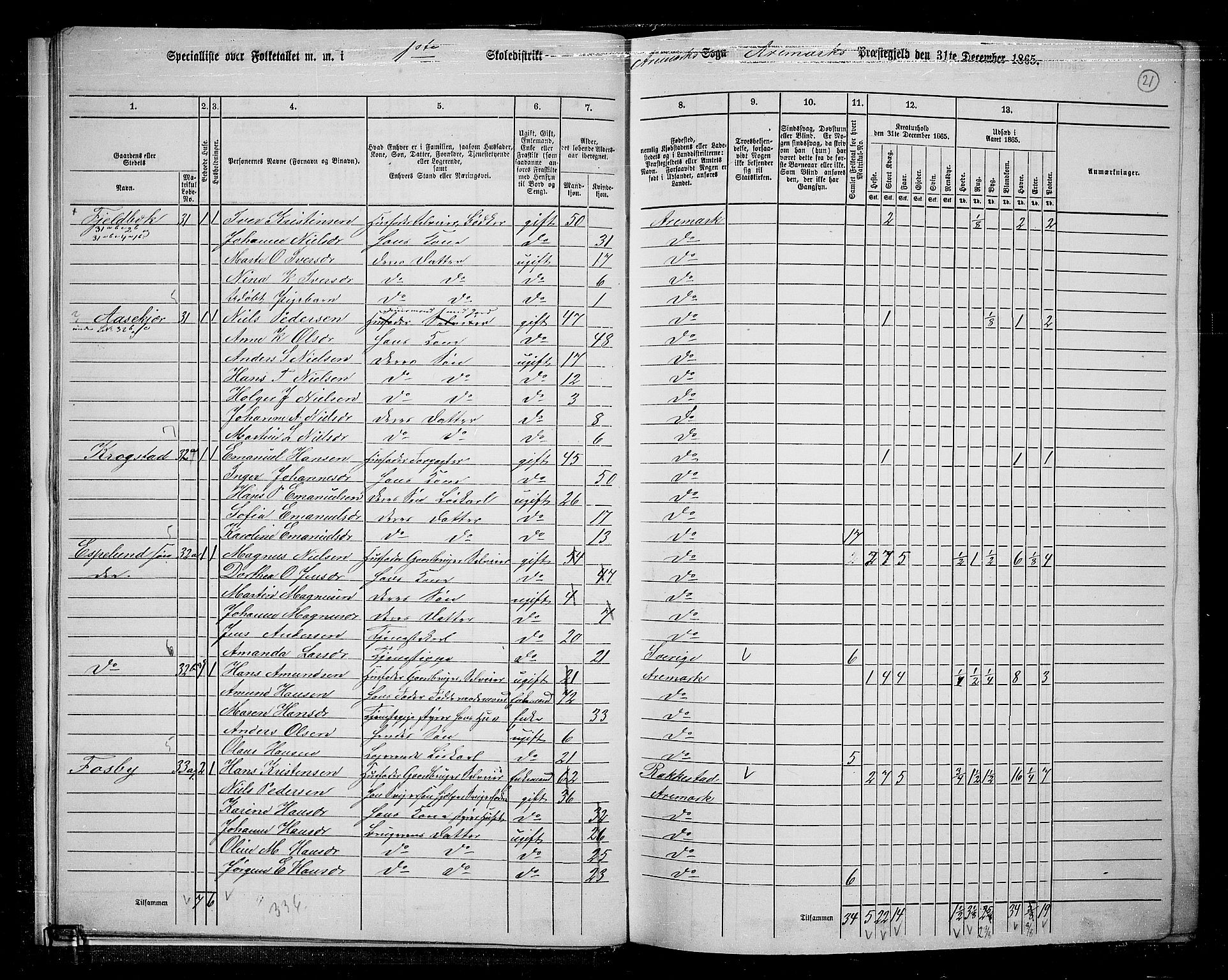 RA, 1865 census for Aremark, 1865, p. 22