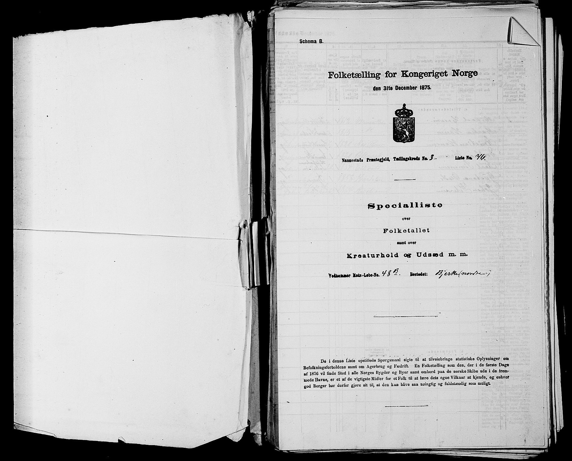 RA, 1875 census for 0238P Nannestad, 1875, p. 365