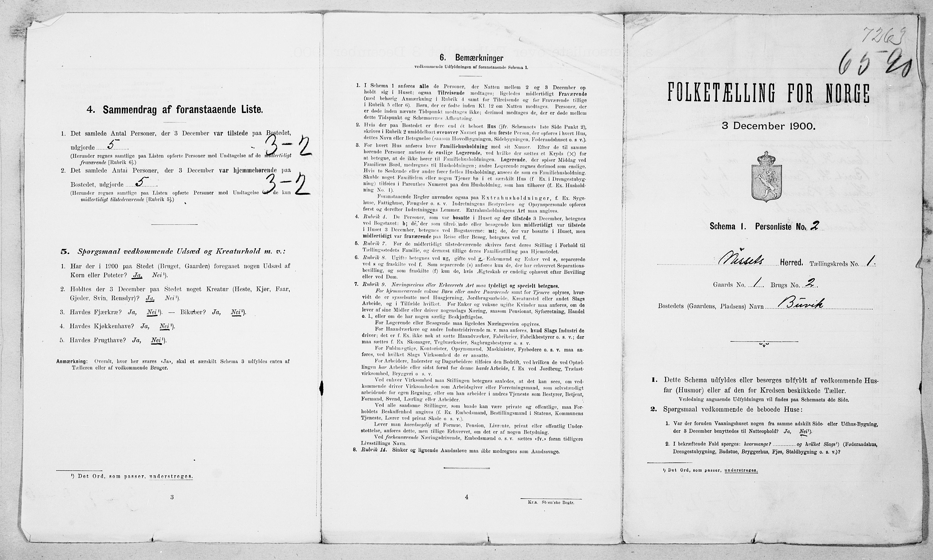 SAT, 1900 census for Nesset, 1900, p. 20