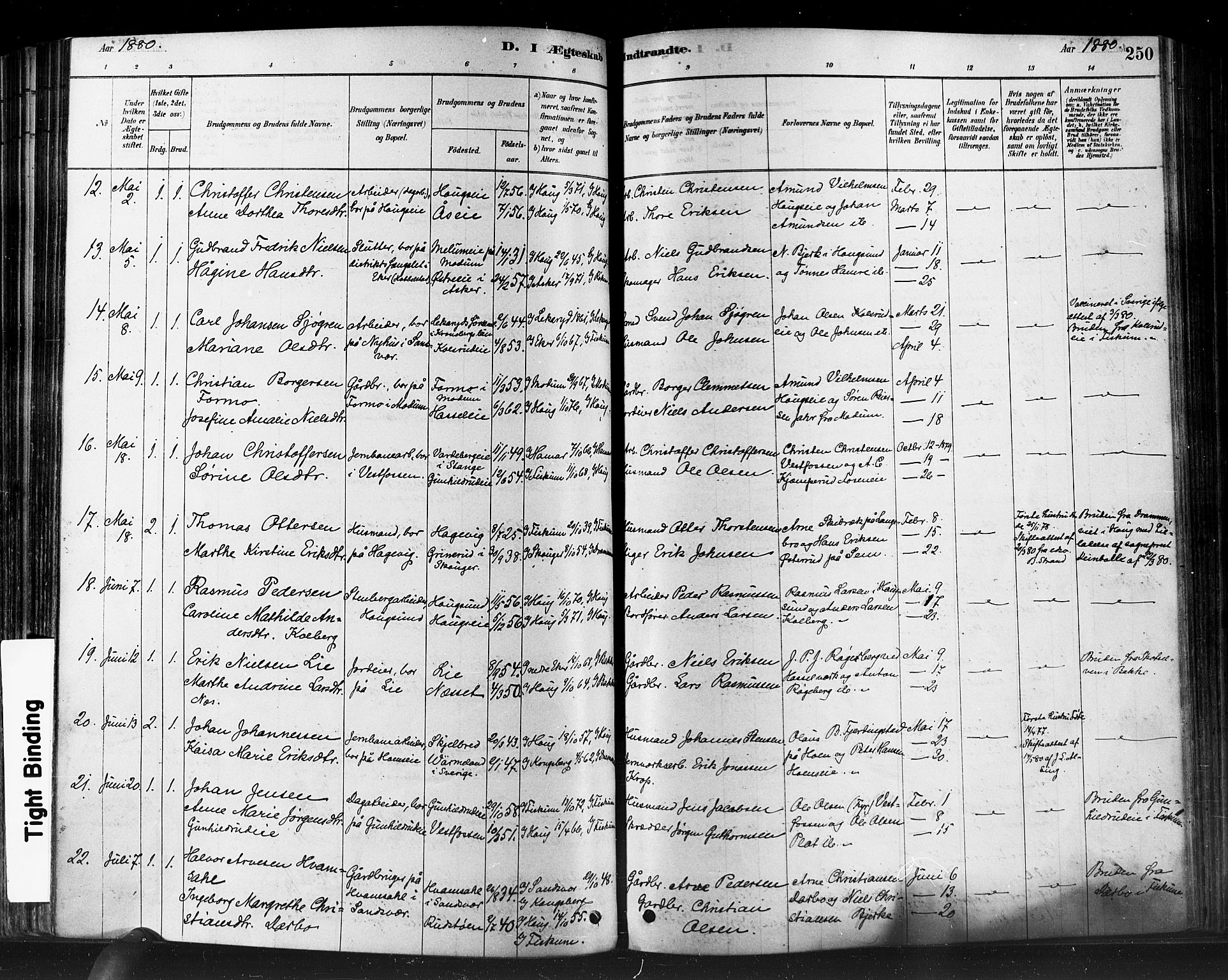 Eiker kirkebøker, AV/SAKO-A-4/F/Fb/L0001: Parish register (official) no. II 1, 1878-1888, p. 250