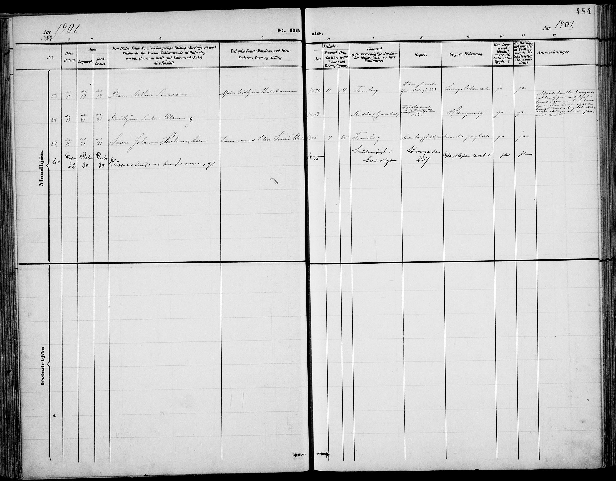 Tønsberg kirkebøker, AV/SAKO-A-330/F/Fa/L0013: Parish register (official) no. I 13, 1900-1913, p. 484