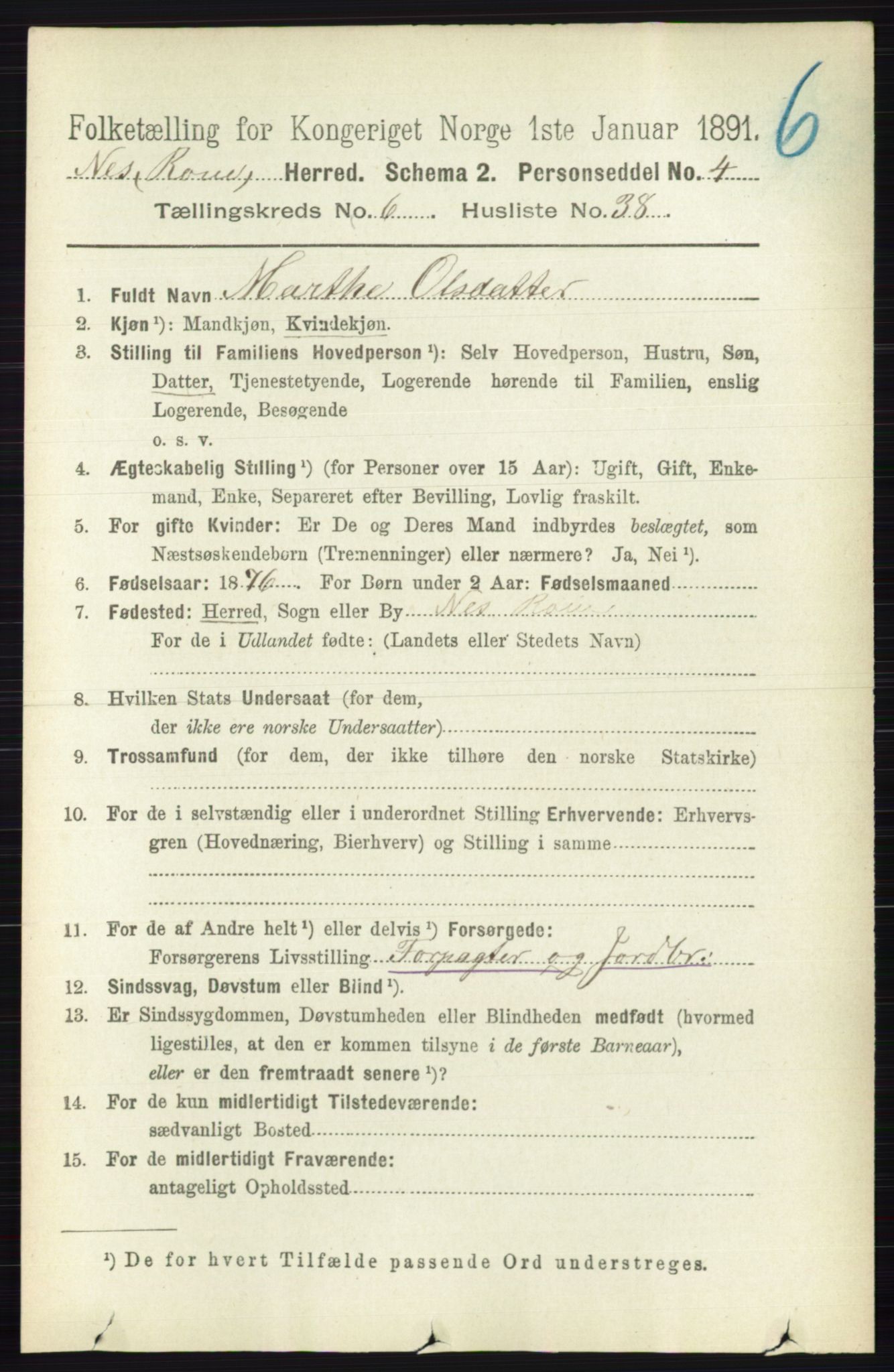 RA, 1891 census for 0236 Nes, 1891, p. 3620