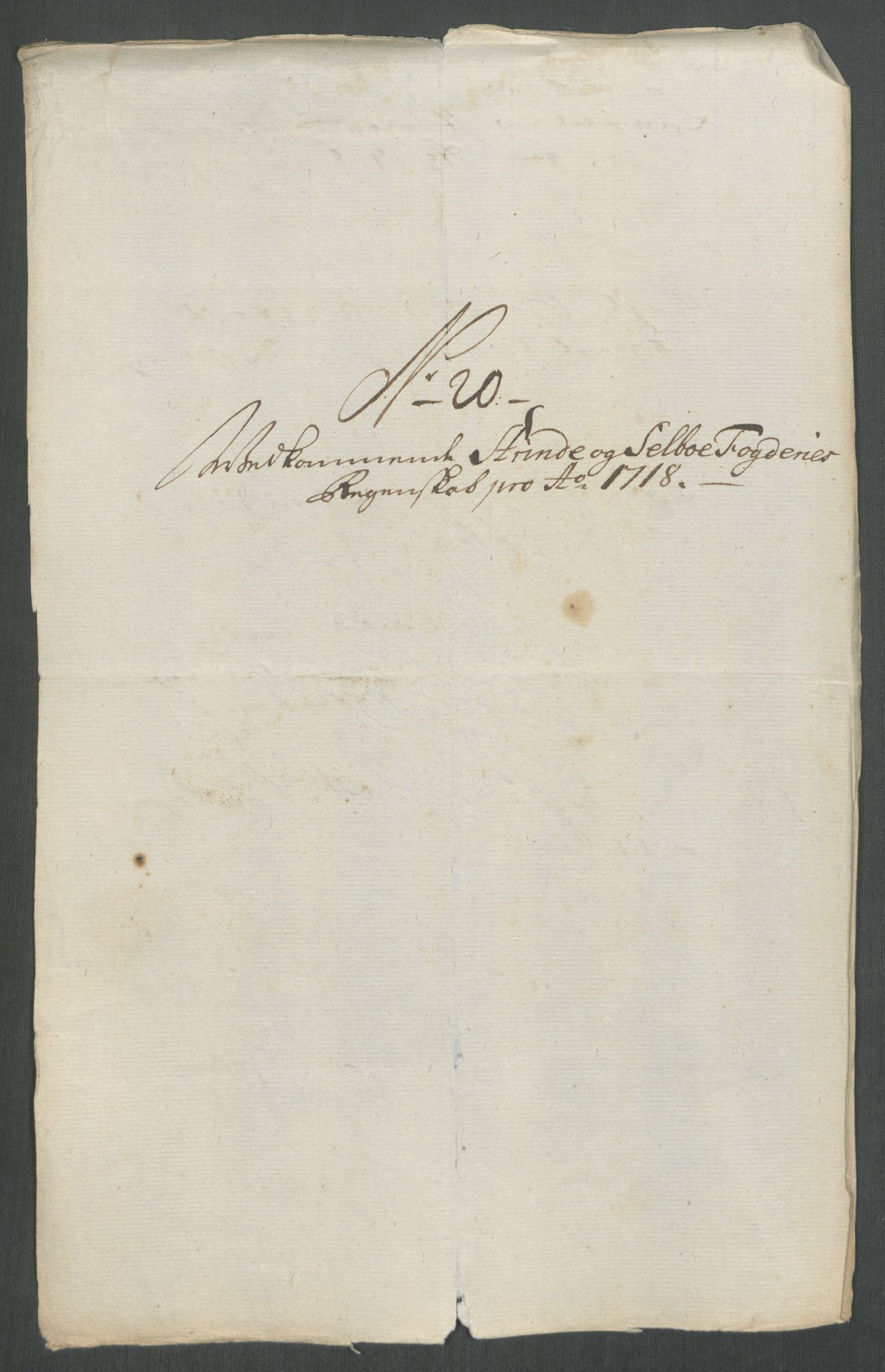 Rentekammeret inntil 1814, Reviderte regnskaper, Fogderegnskap, RA/EA-4092/R61/L4116: Fogderegnskap Strinda og Selbu, 1717-1718, p. 454