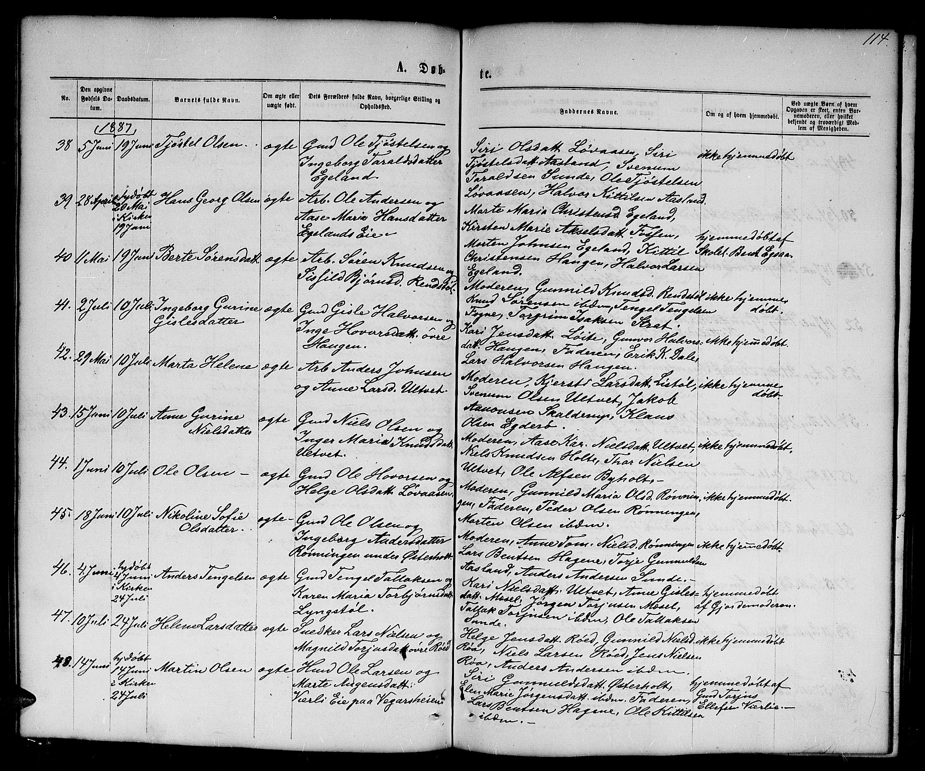 Gjerstad sokneprestkontor, AV/SAK-1111-0014/F/Fb/Fba/L0006: Parish register (copy) no. B 6, 1868-1890, p. 114