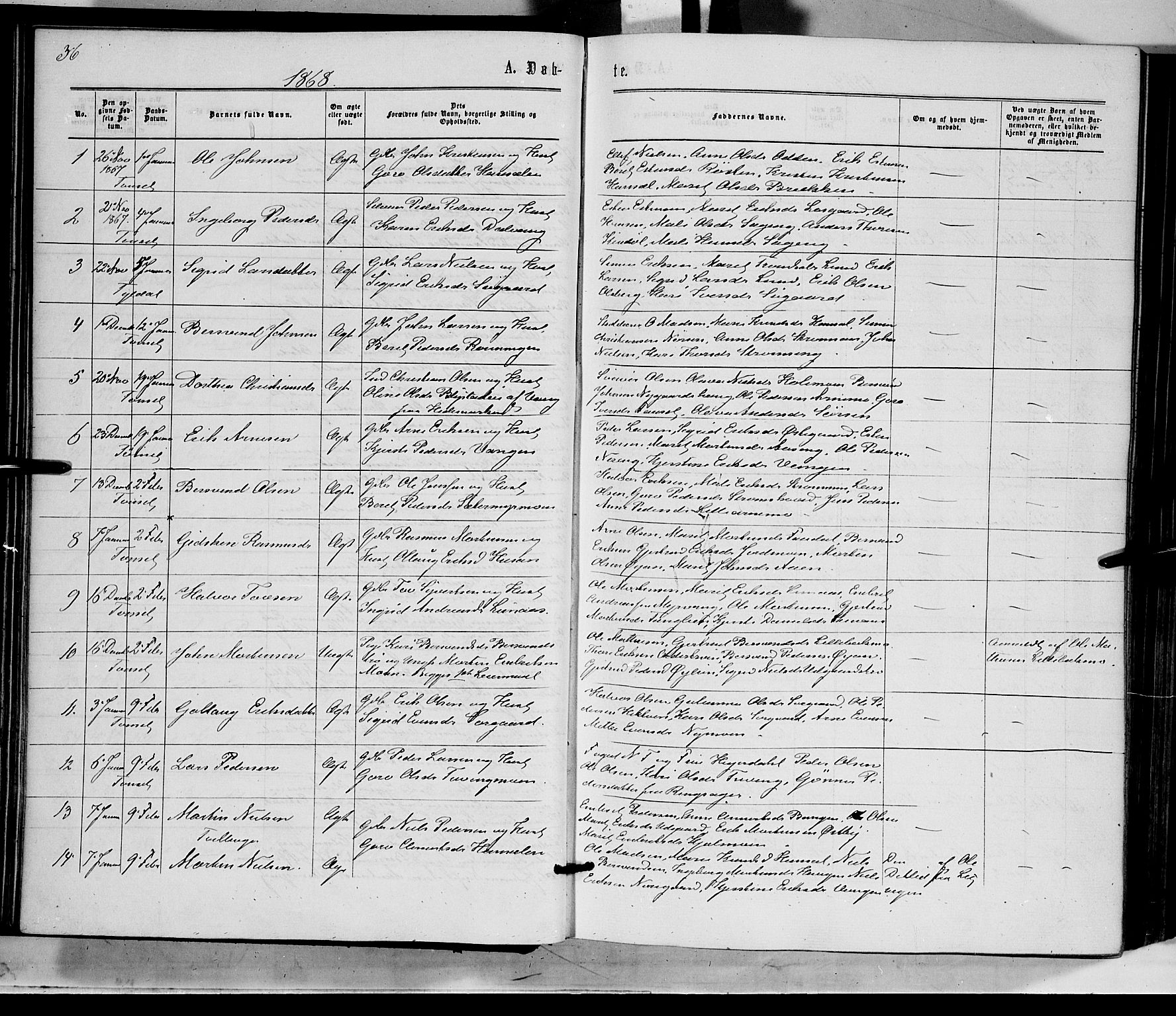 Tynset prestekontor, SAH/PREST-058/H/Ha/Haa/L0021: Parish register (official) no. 21, 1863-1879, p. 36