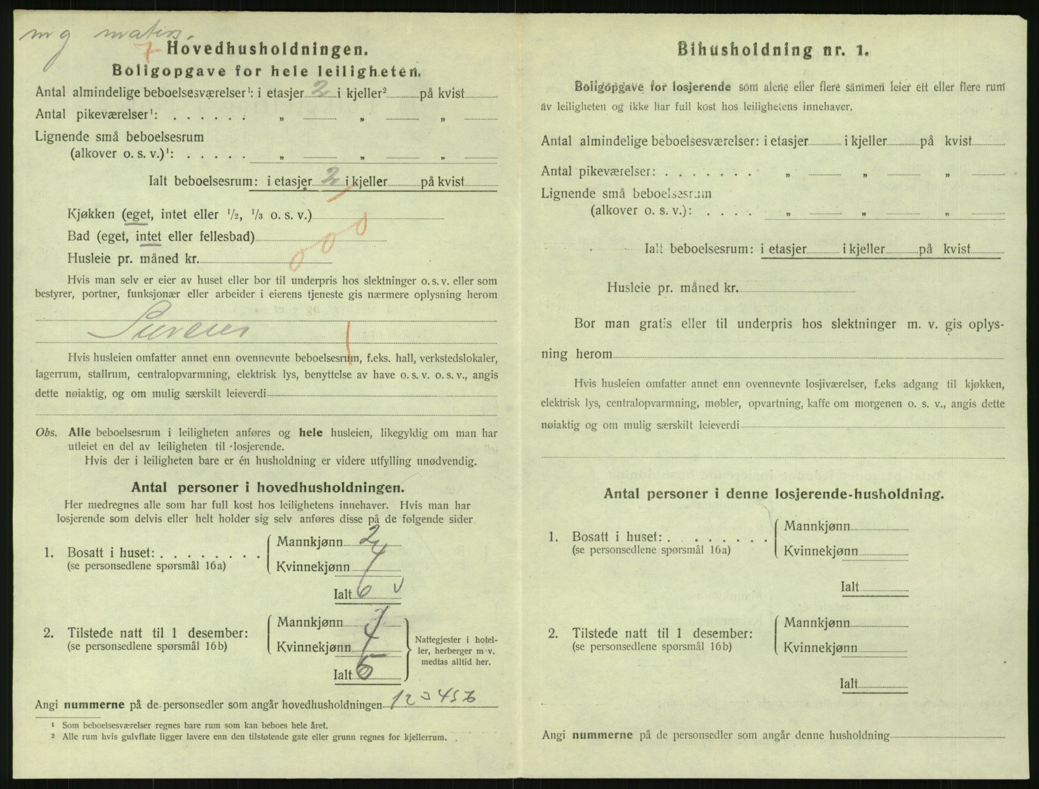 SAKO, 1920 census for Svelvik, 1920, p. 1118