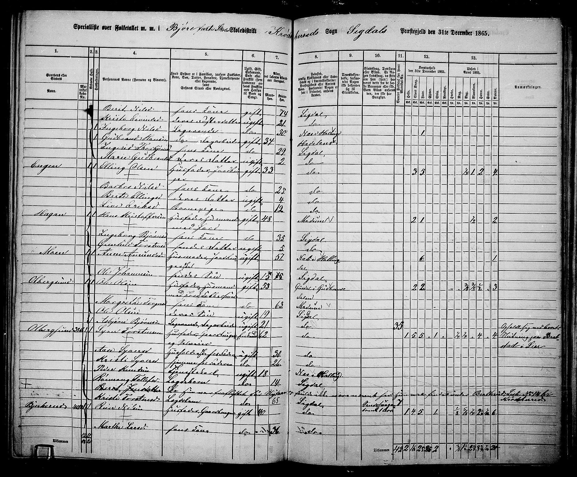 RA, 1865 census for Sigdal, 1865, p. 231