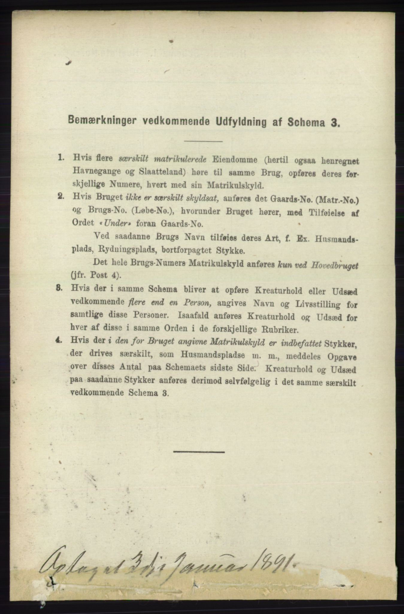 RA, 1891 census for 1139 Nedstrand, 1891, p. 1656