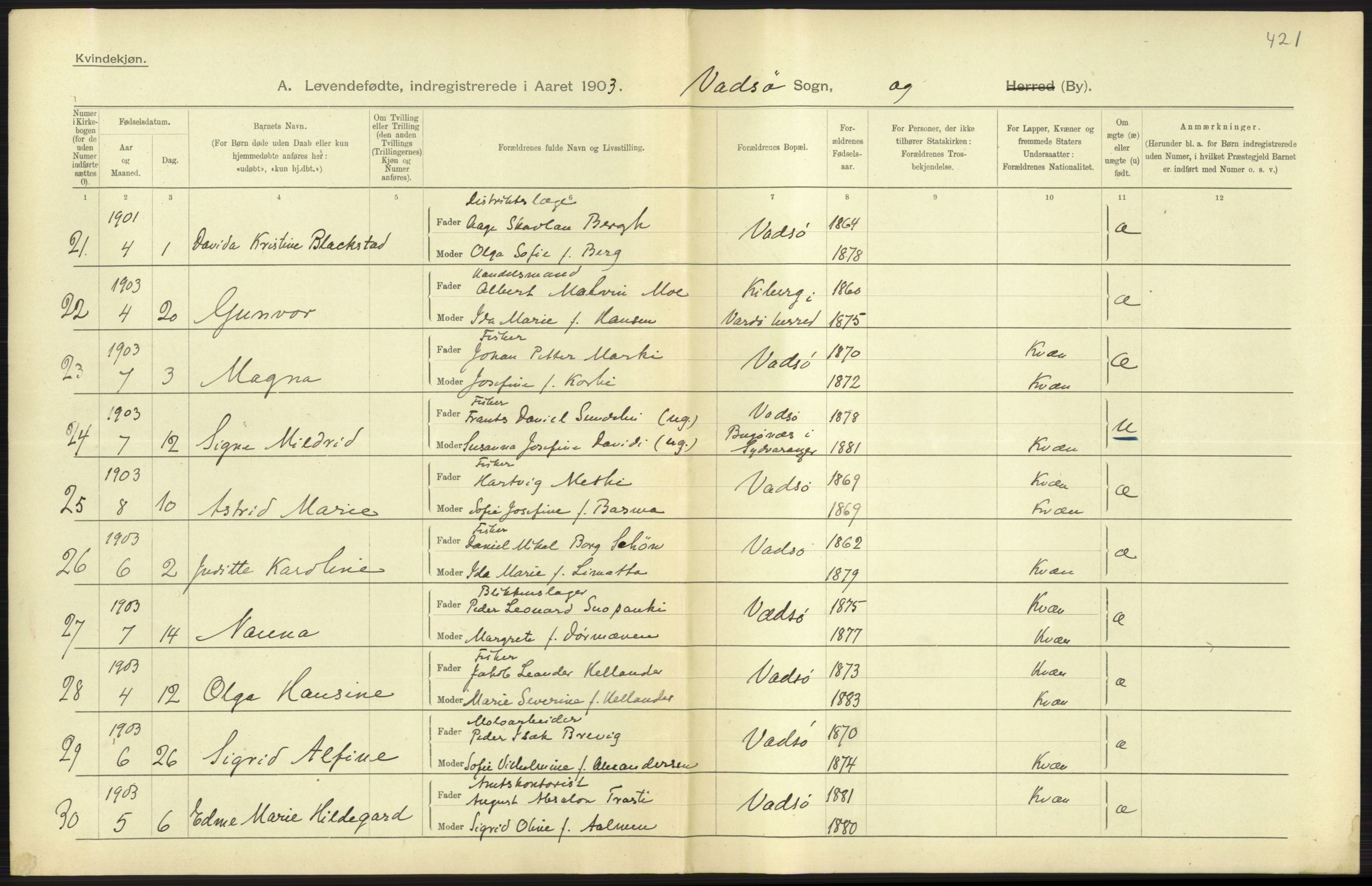 Statistisk sentralbyrå, Sosiodemografiske emner, Befolkning, AV/RA-S-2228/D/Df/Dfa/Dfaa/L0022: Finnmarkens amt: Fødte, gifte, døde., 1903, p. 127