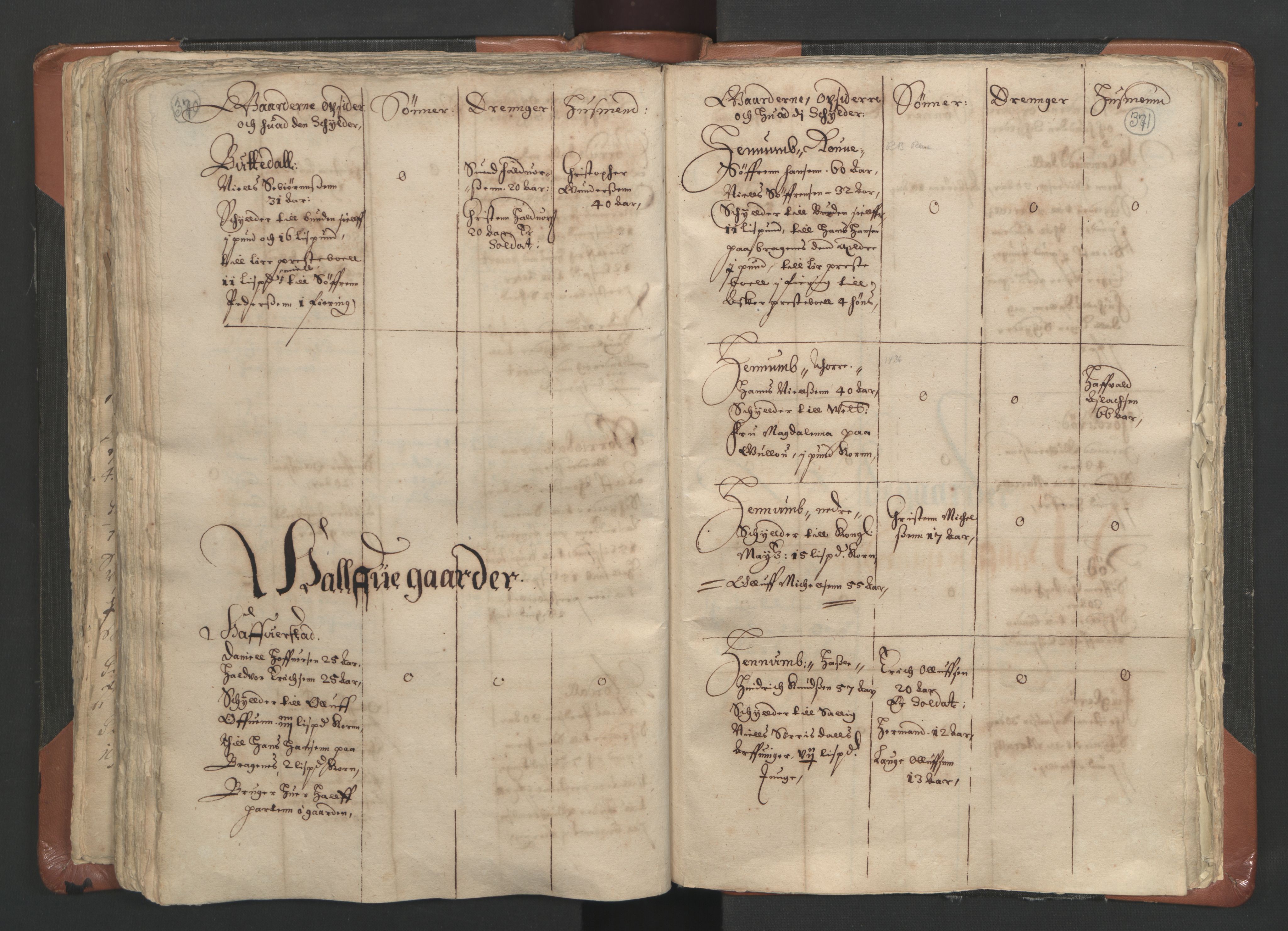 RA, Vicar's Census 1664-1666, no. 9: Bragernes deanery, 1664-1666, p. 370-371