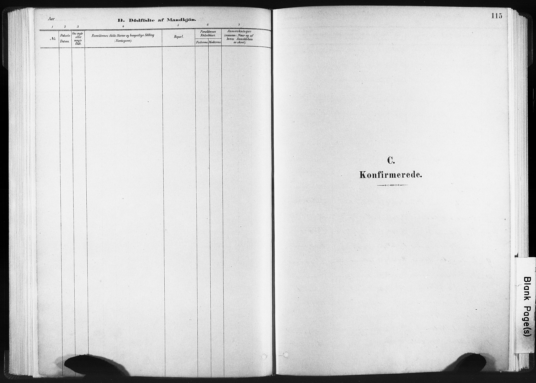 Ministerialprotokoller, klokkerbøker og fødselsregistre - Sør-Trøndelag, SAT/A-1456/665/L0773: Parish register (official) no. 665A08, 1879-1905, p. 115