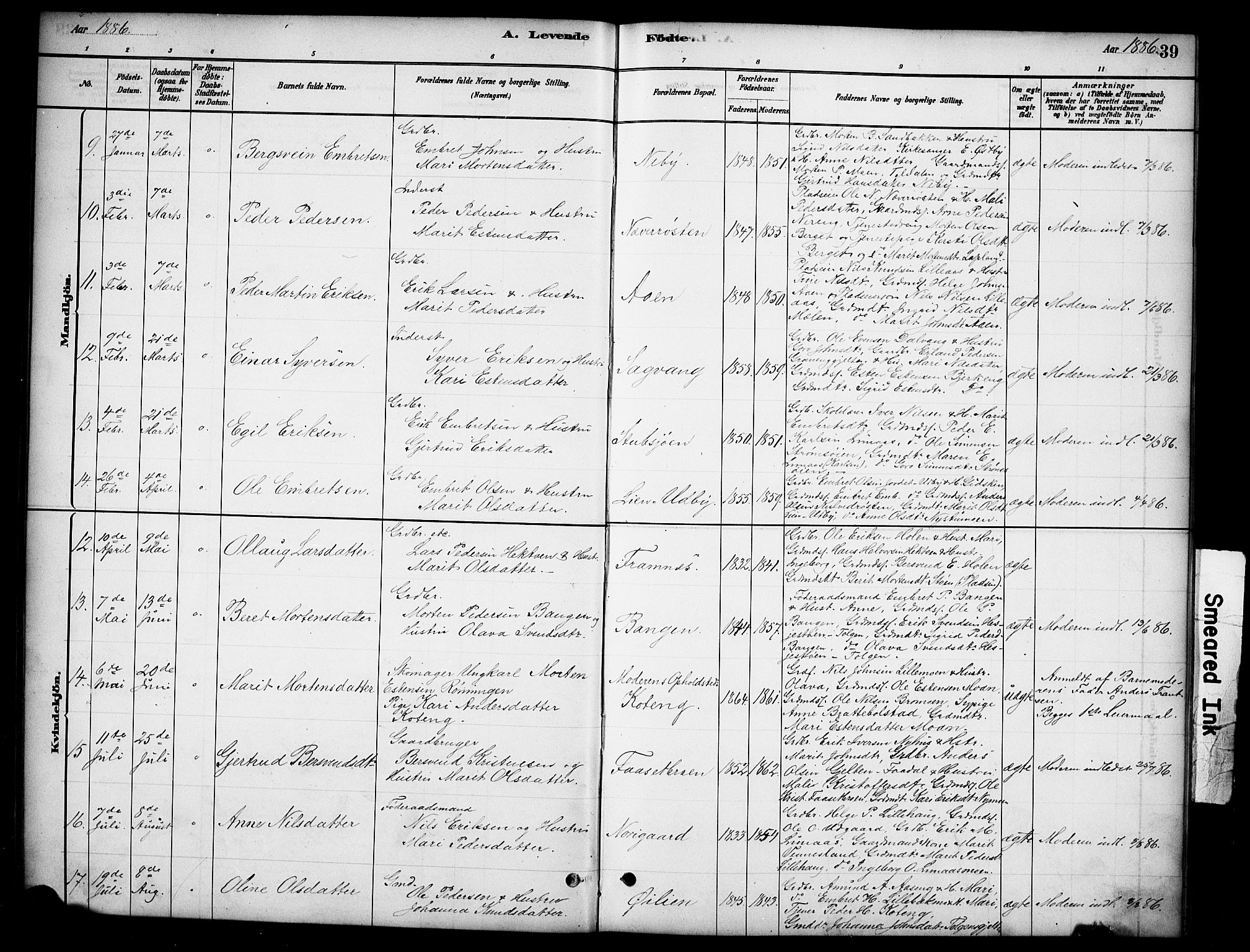 Tynset prestekontor, AV/SAH-PREST-058/H/Ha/Hab/L0006: Parish register (copy) no. 6, 1880-1899, p. 39