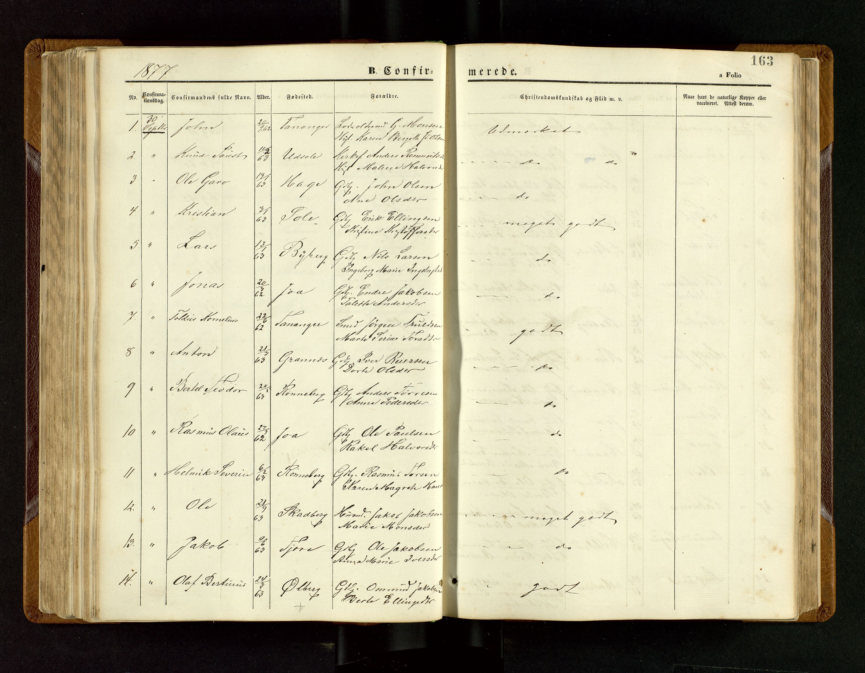Håland sokneprestkontor, SAST/A-101802/001/30BB/L0003: Parish register (copy) no. B 3, 1873-1893, p. 163