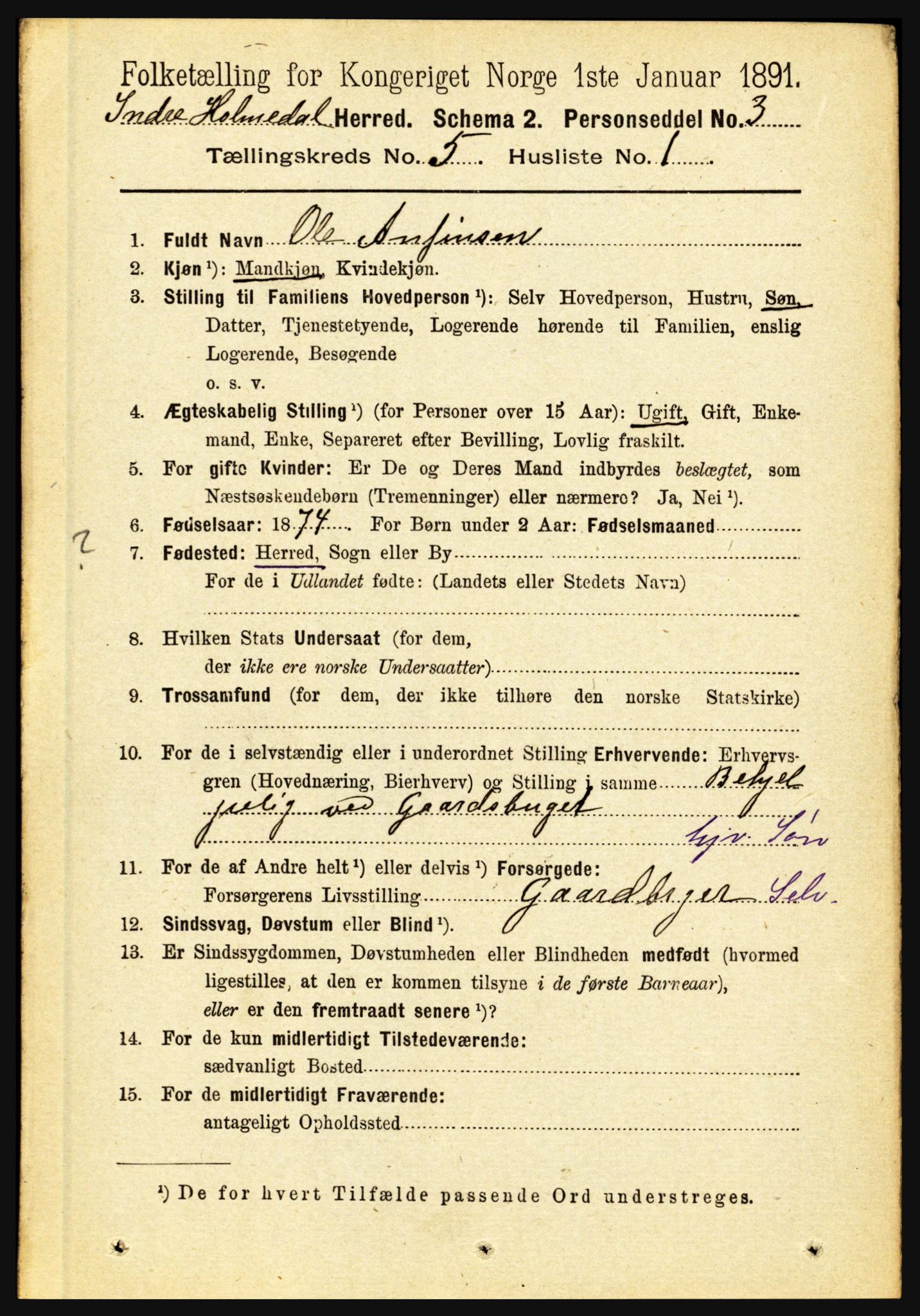 RA, 1891 census for 1430 Indre Holmedal, 1891, p. 1905