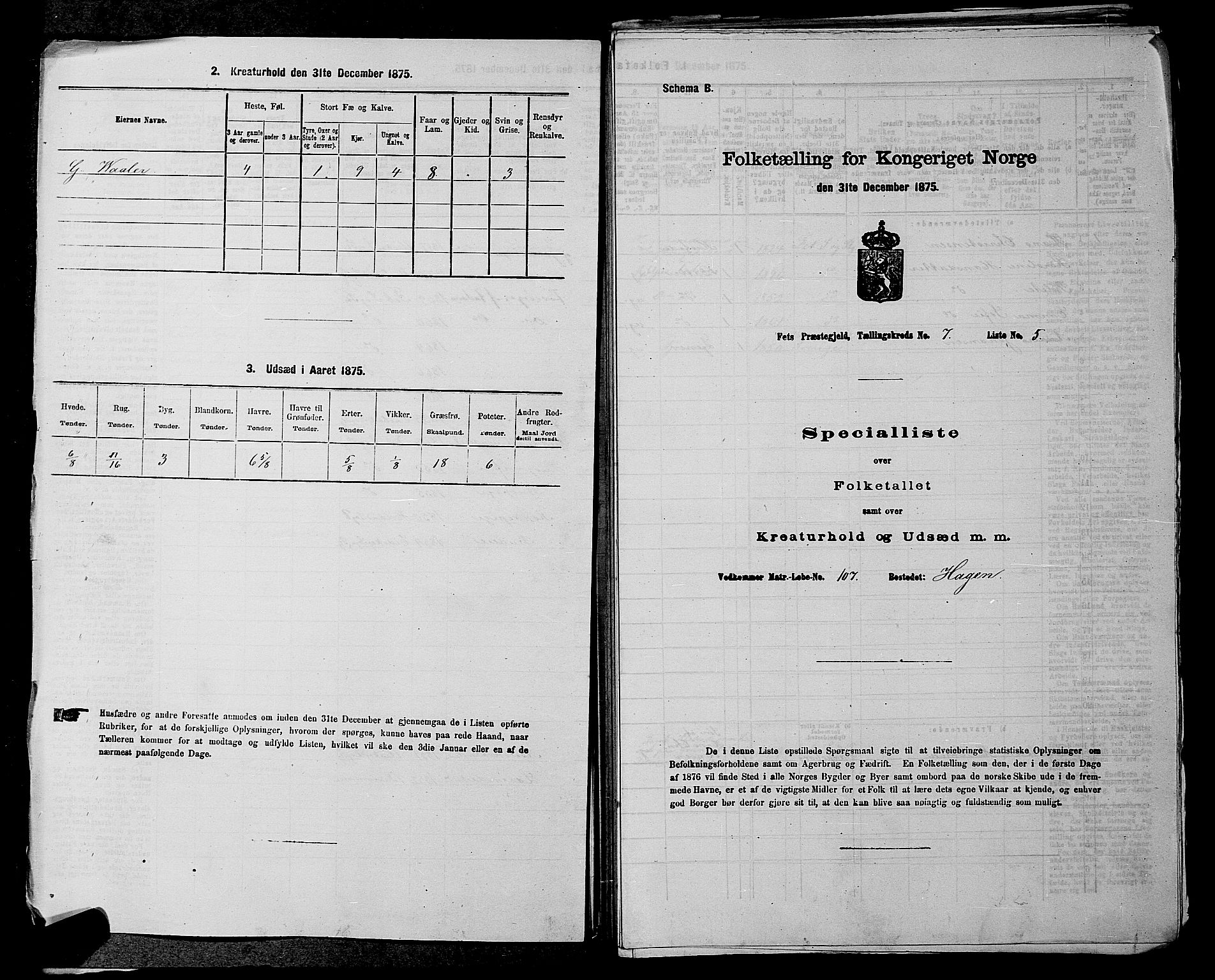 RA, 1875 census for 0227P Fet, 1875, p. 1002